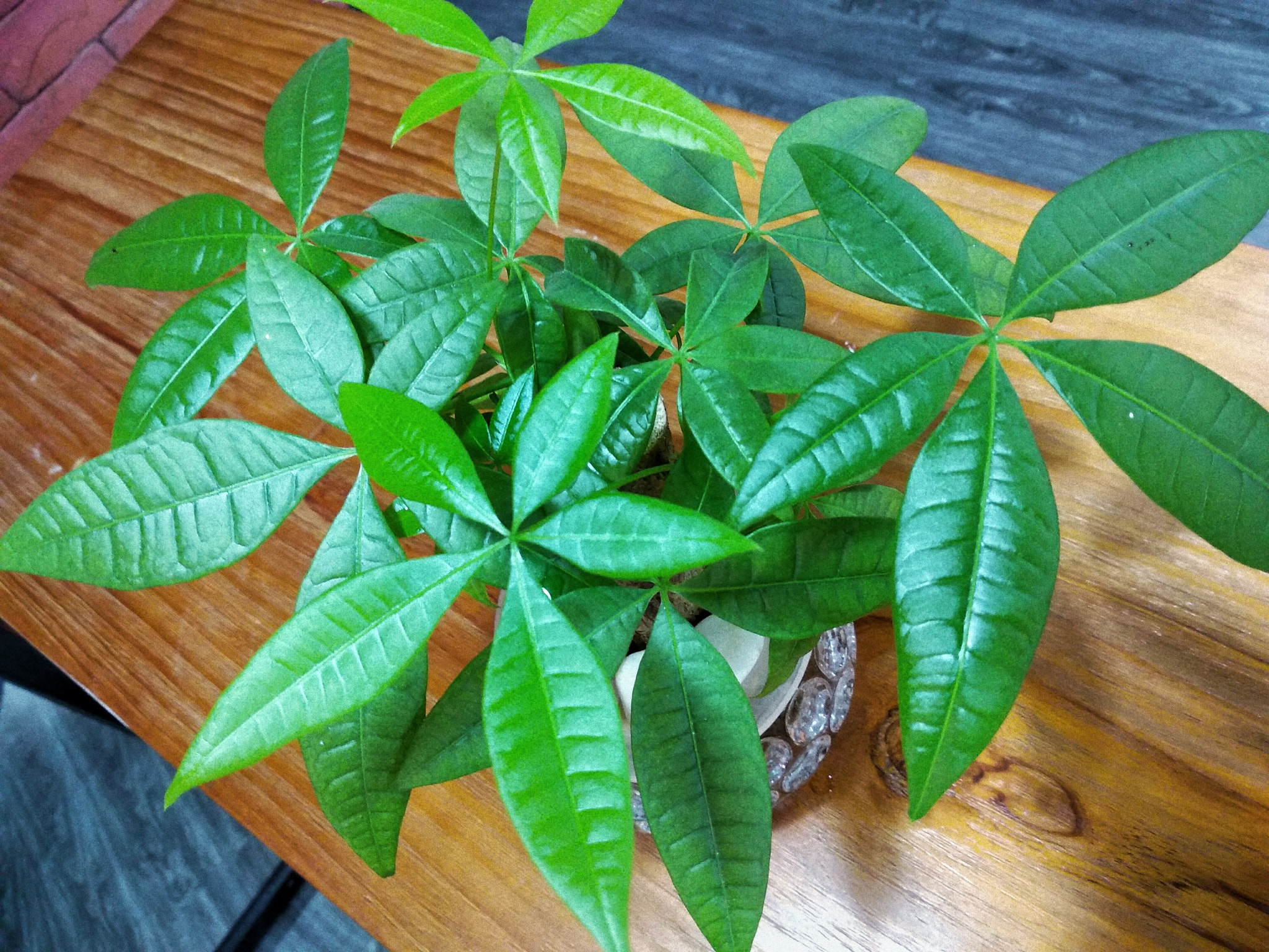 Xiaomi Redmi 5 Plus sample photo. 一片一片 photography