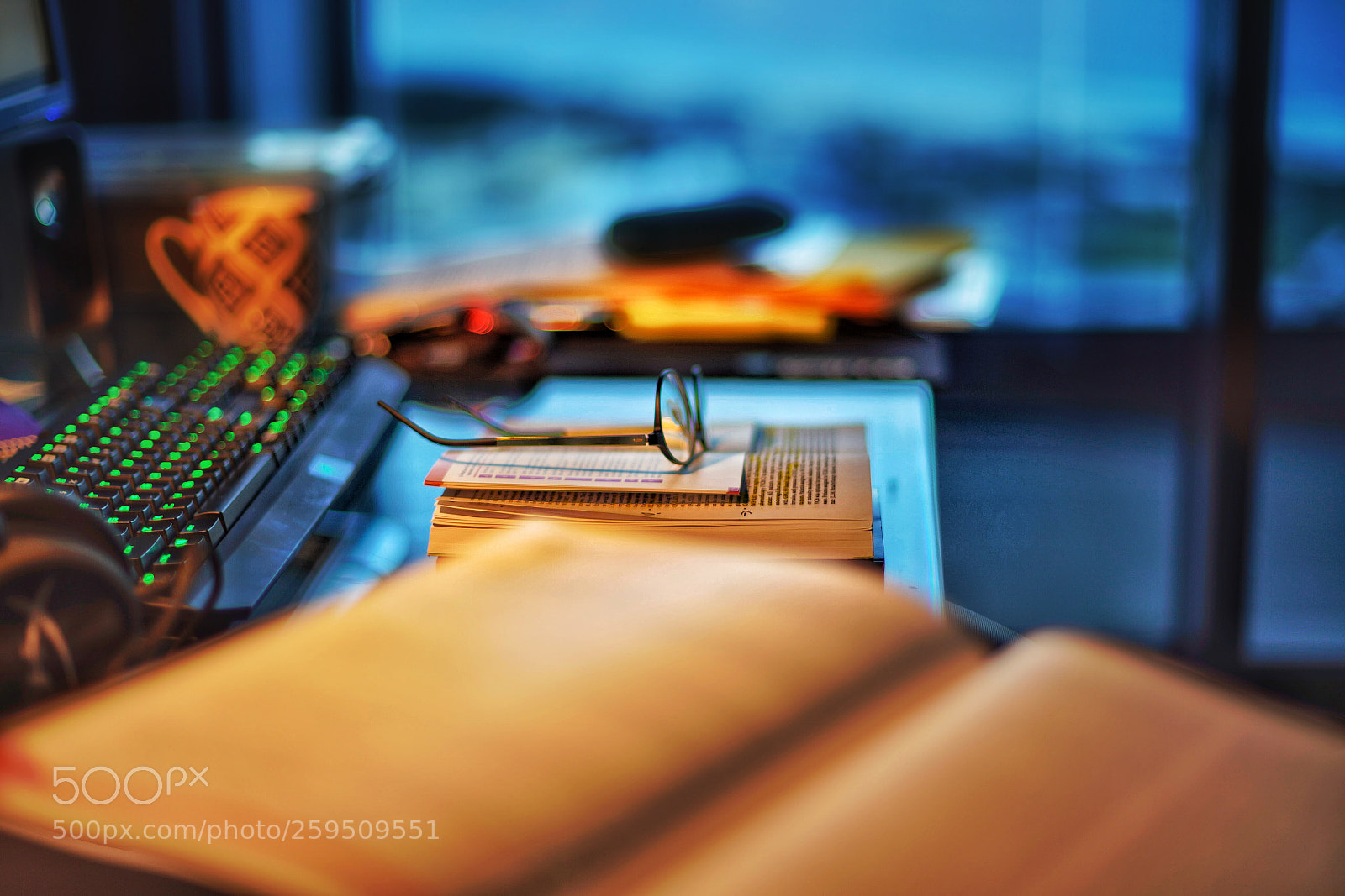 Sony a7R III sample photo. Study photography