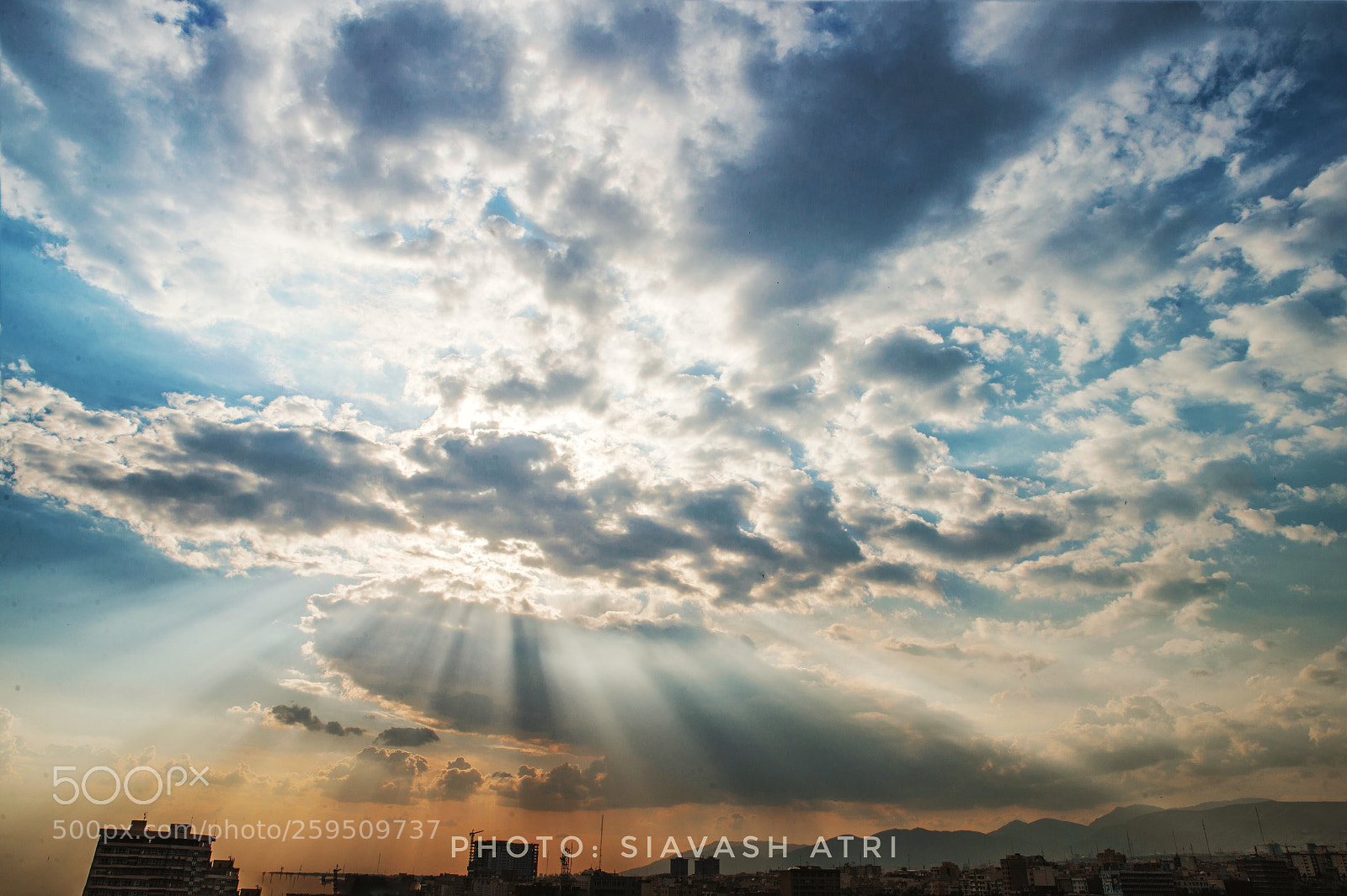 Canon EOS-1D X sample photo. Untitled photography