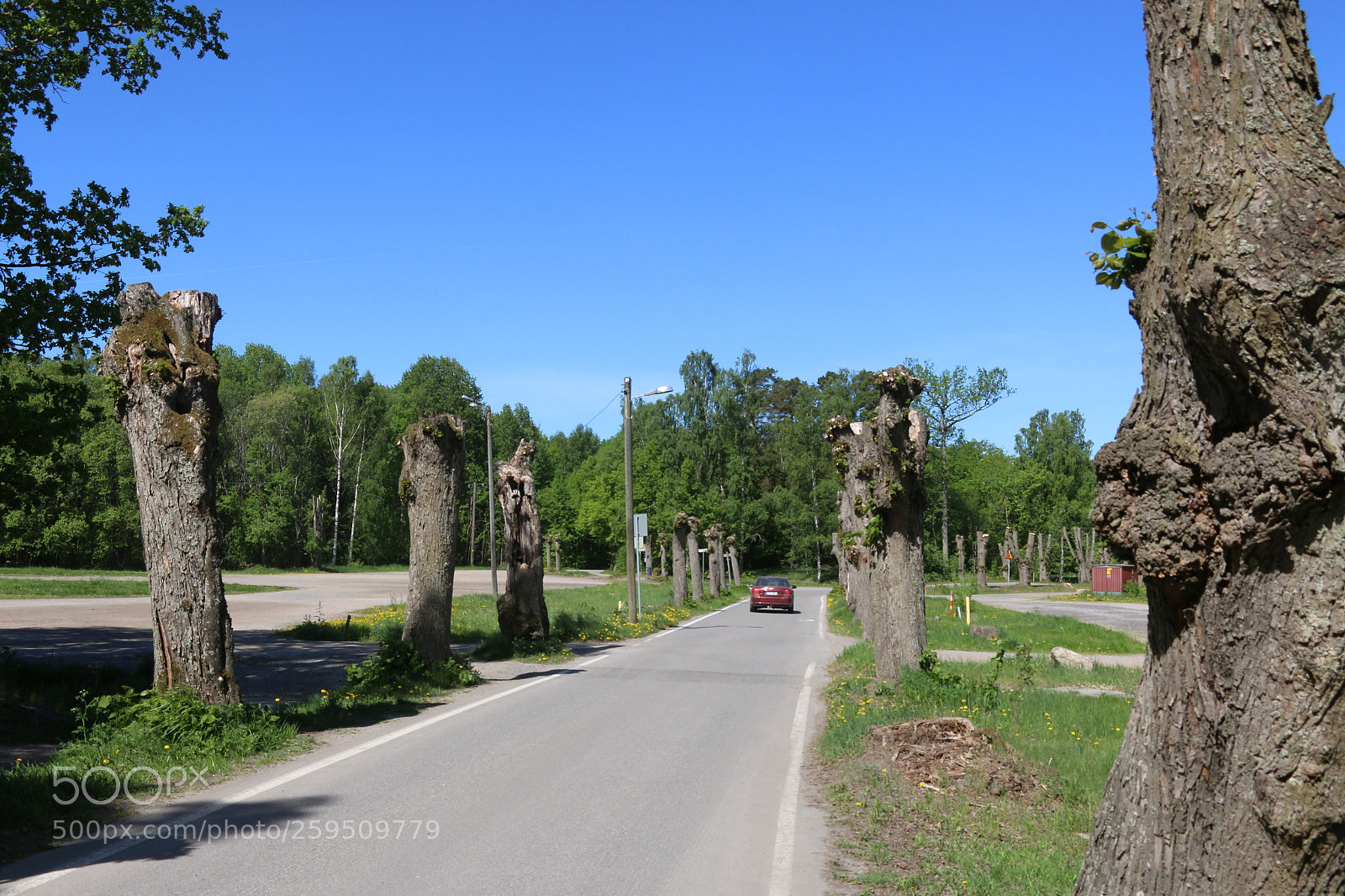 Canon EOS 70D sample photo. Img photography