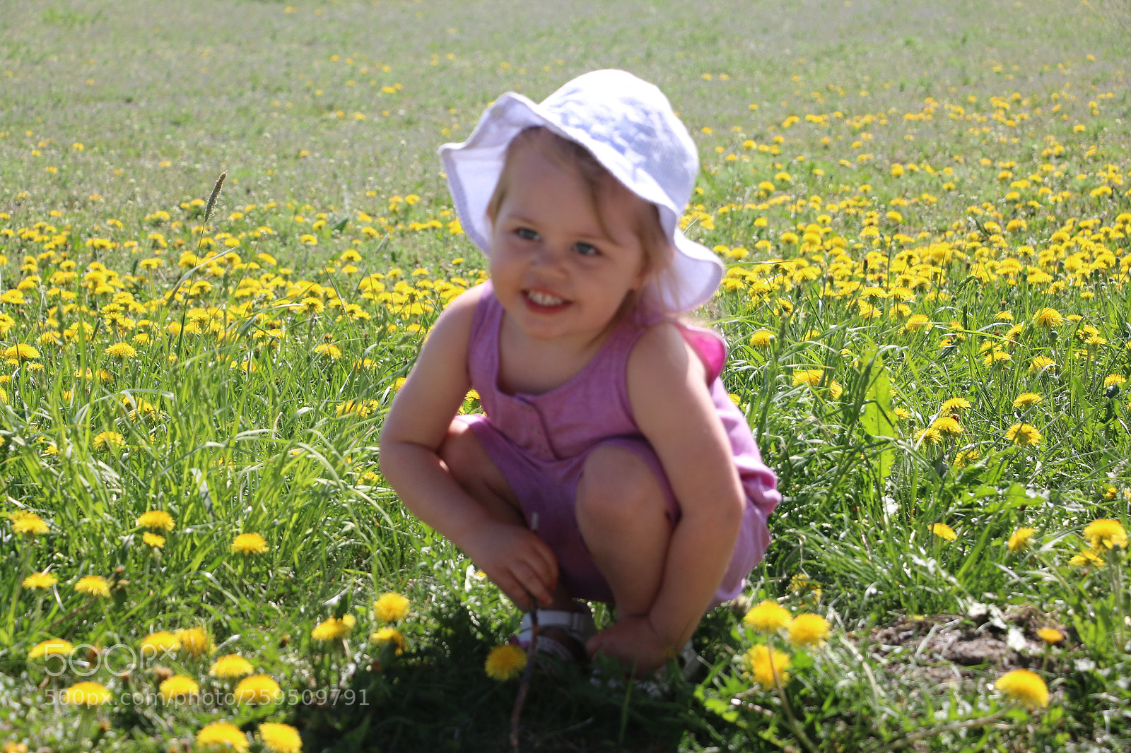 Canon EOS 70D sample photo. Img photography