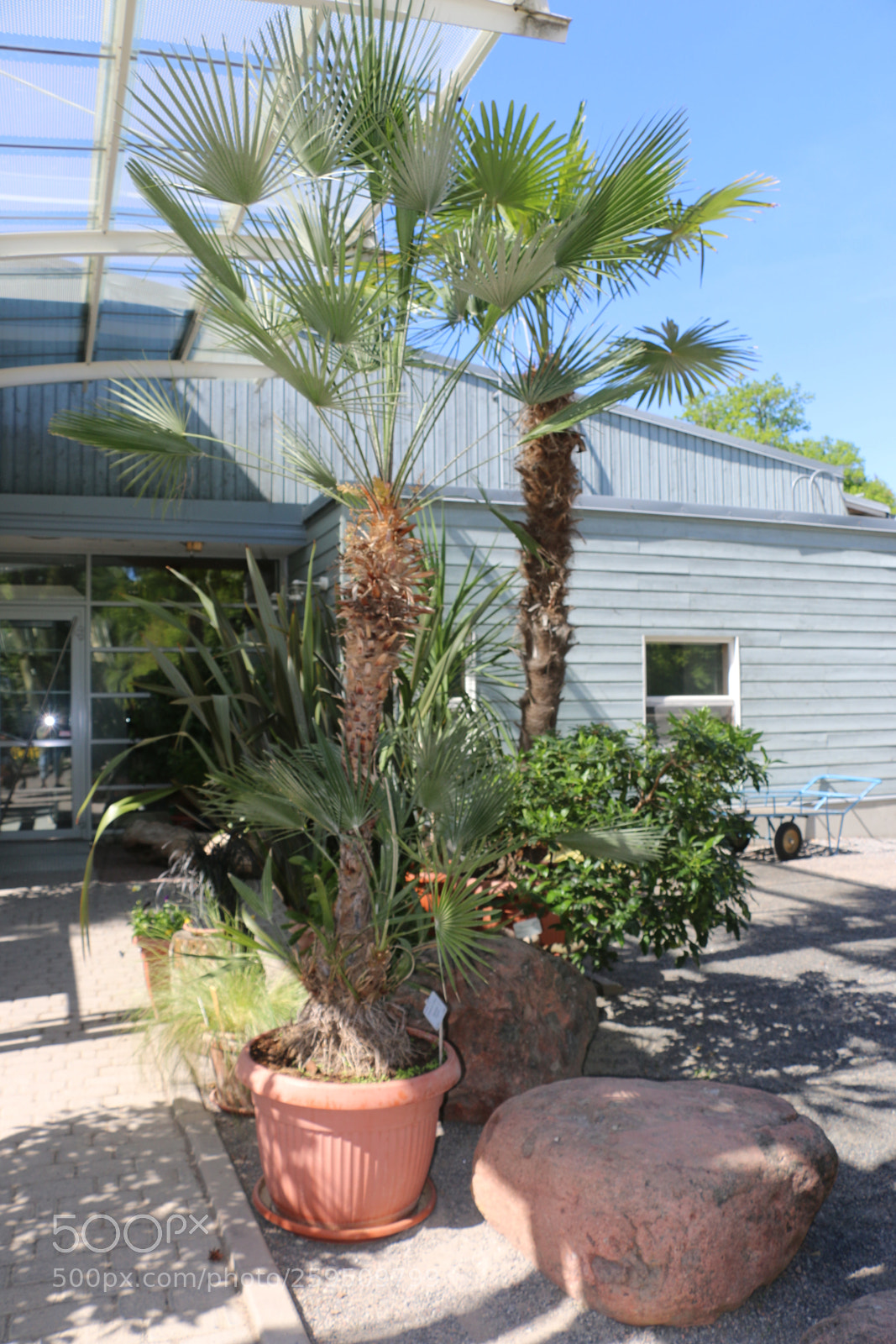 Canon EOS 70D sample photo. Img photography