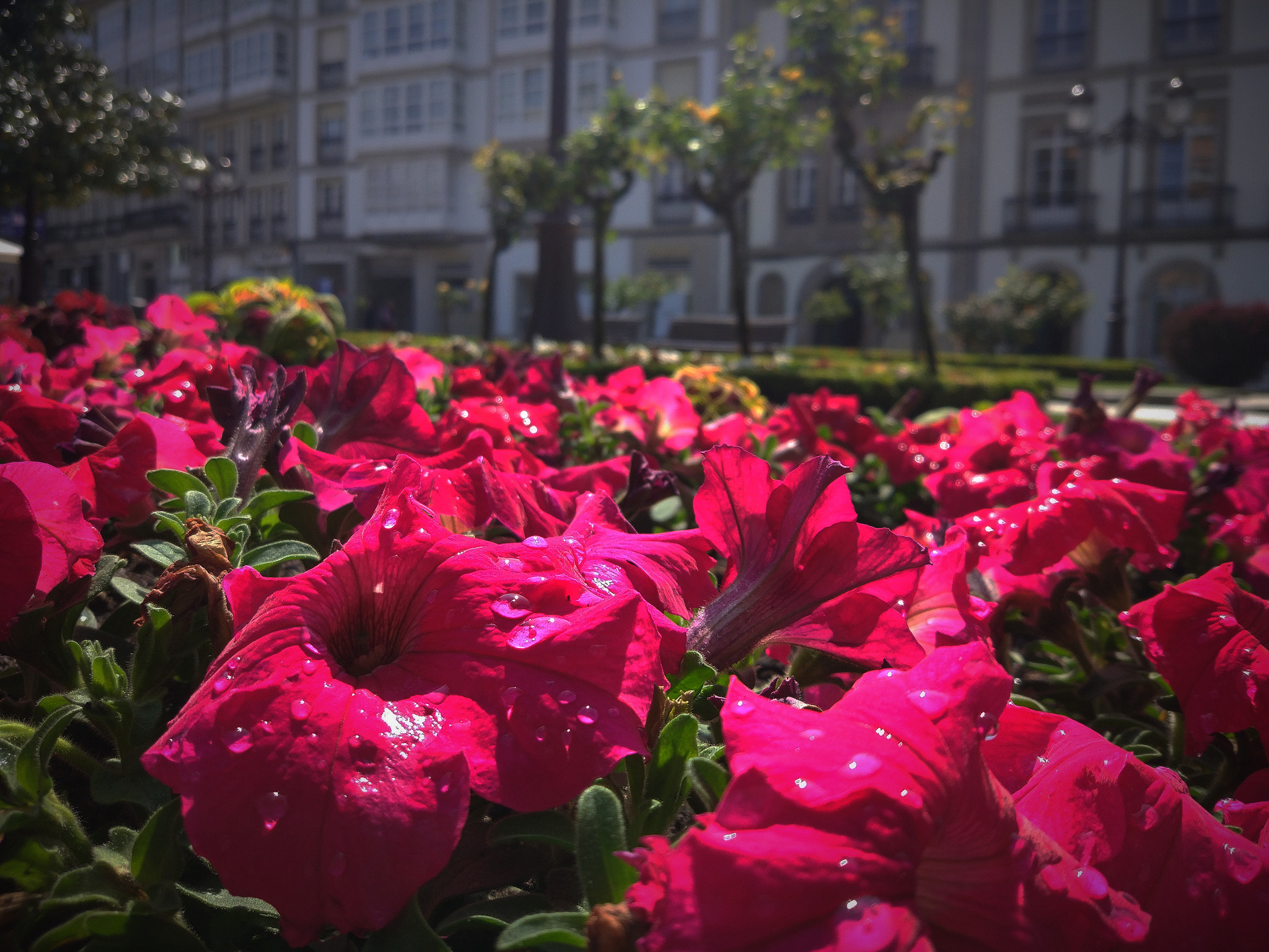 Xiaomi MI 5 sample photo. Tres dimensiones photography