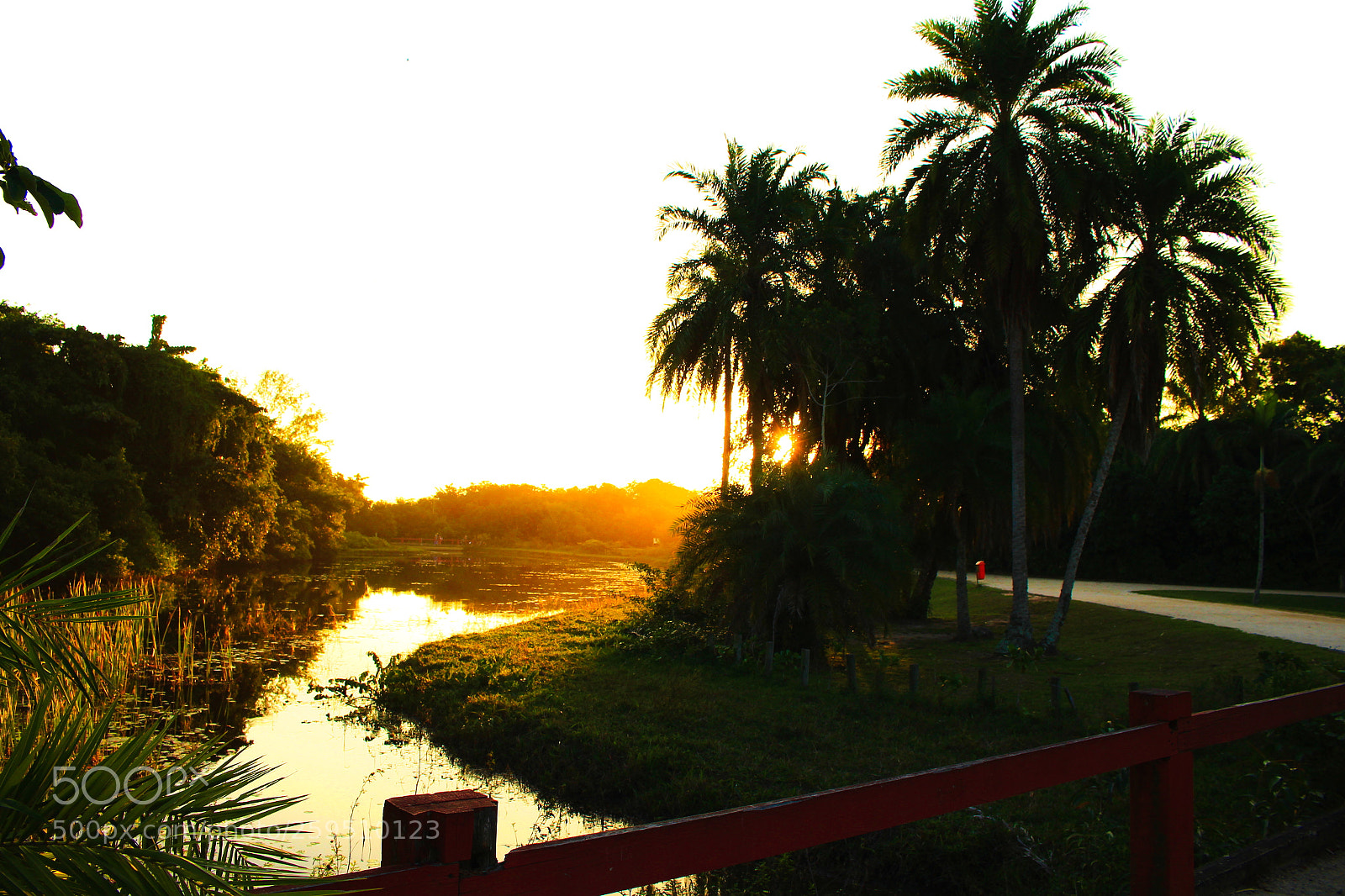 Canon EOS 700D (EOS Rebel T5i / EOS Kiss X7i) sample photo. Untitled photography