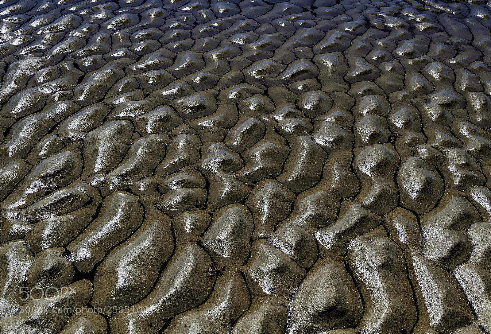 Nikon D700 sample photo. "structures in wet sand" photography