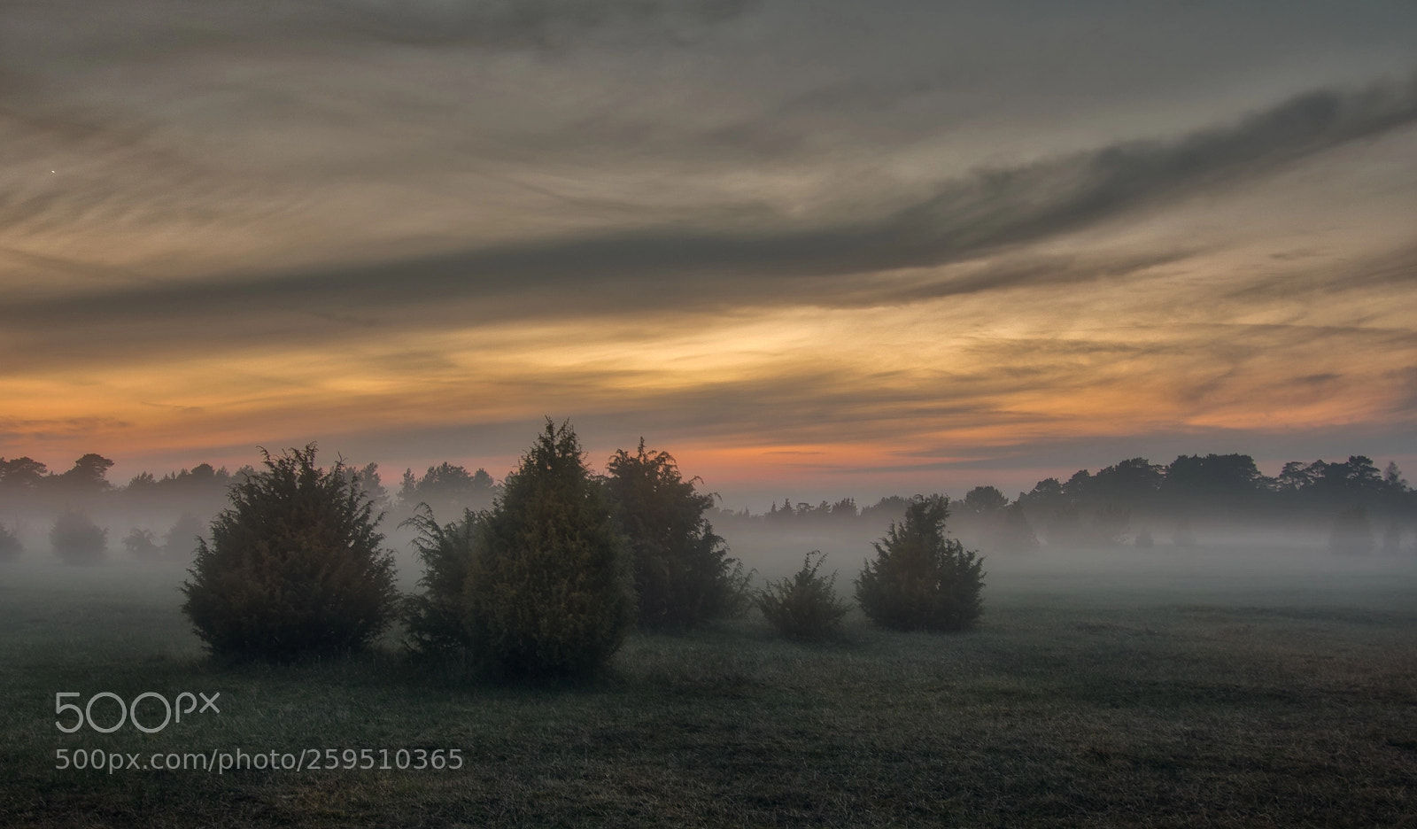 Sony a6500 sample photo. Misty evening photography