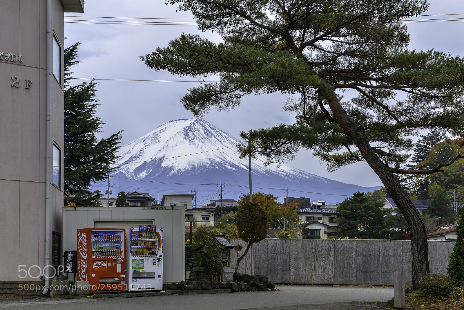 Nikon D800E sample photo. Fuji mountain in japan photography