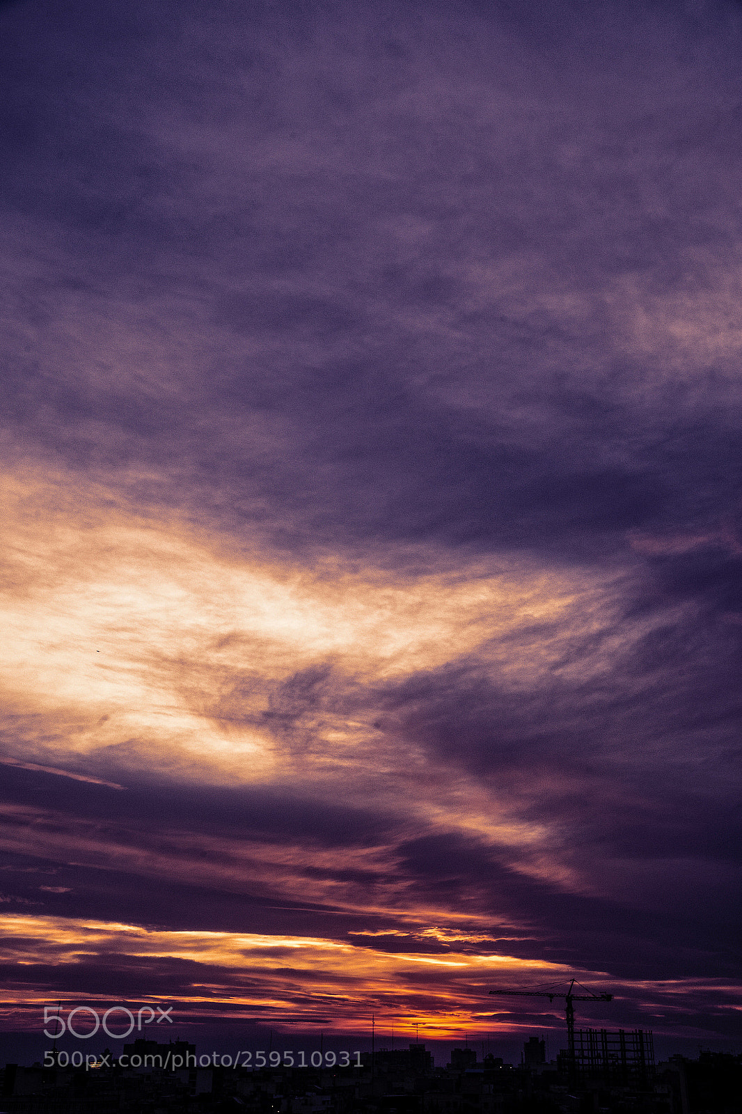 Canon EOS-1D X sample photo. Untitled photography