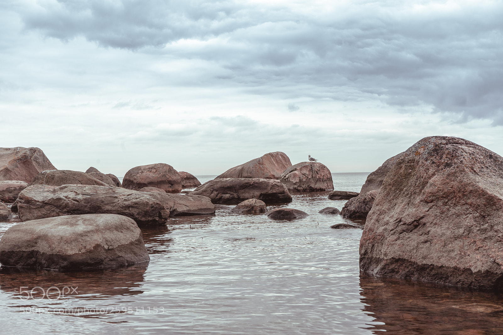 Sony a7 II sample photo. Untitled photography