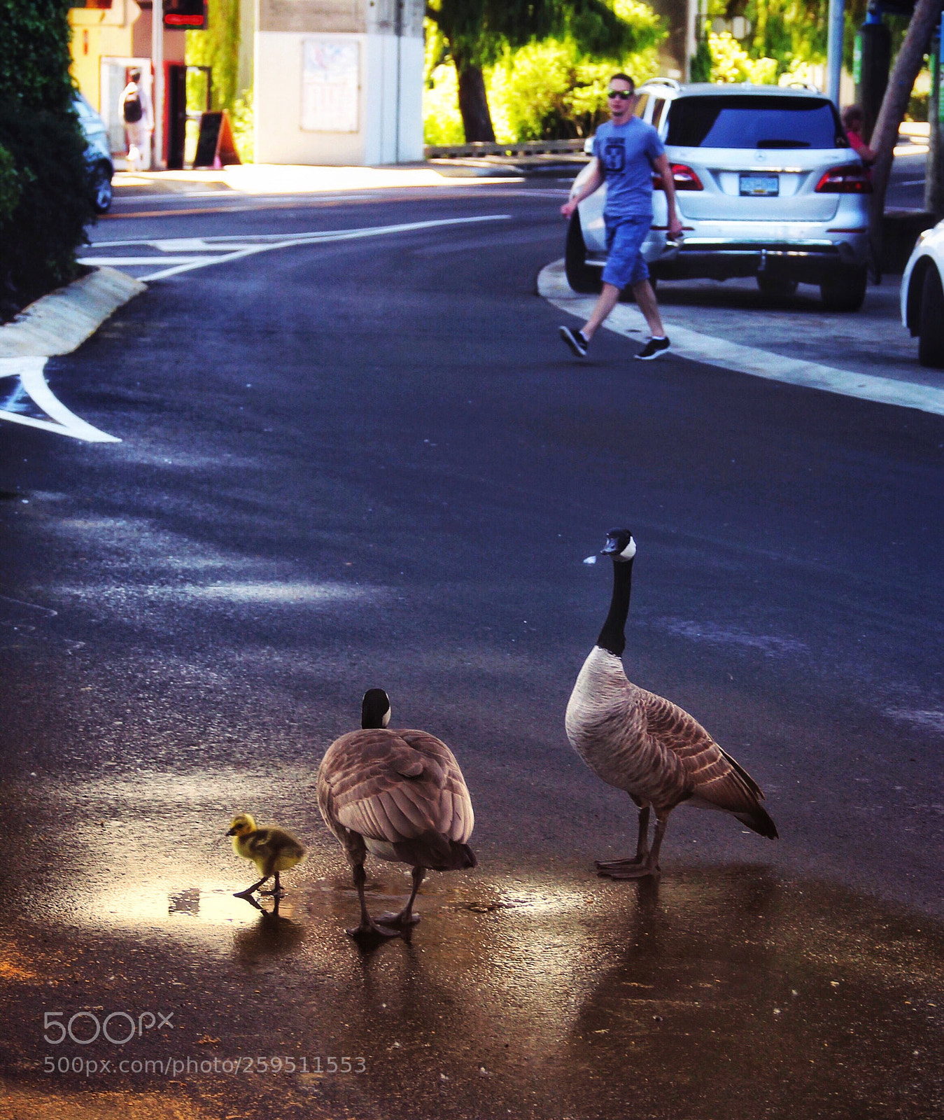 Canon EOS 60D sample photo. Perfect day 
 photography