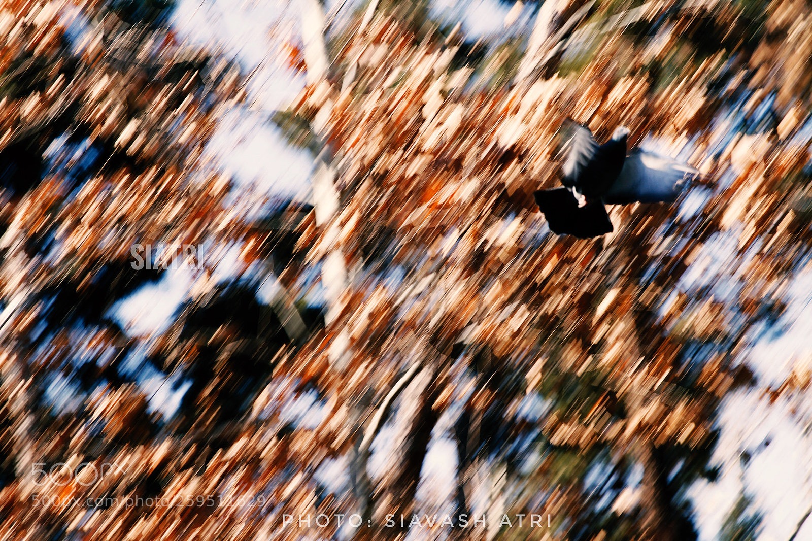 Canon EOS 7D sample photo. Untitled photography