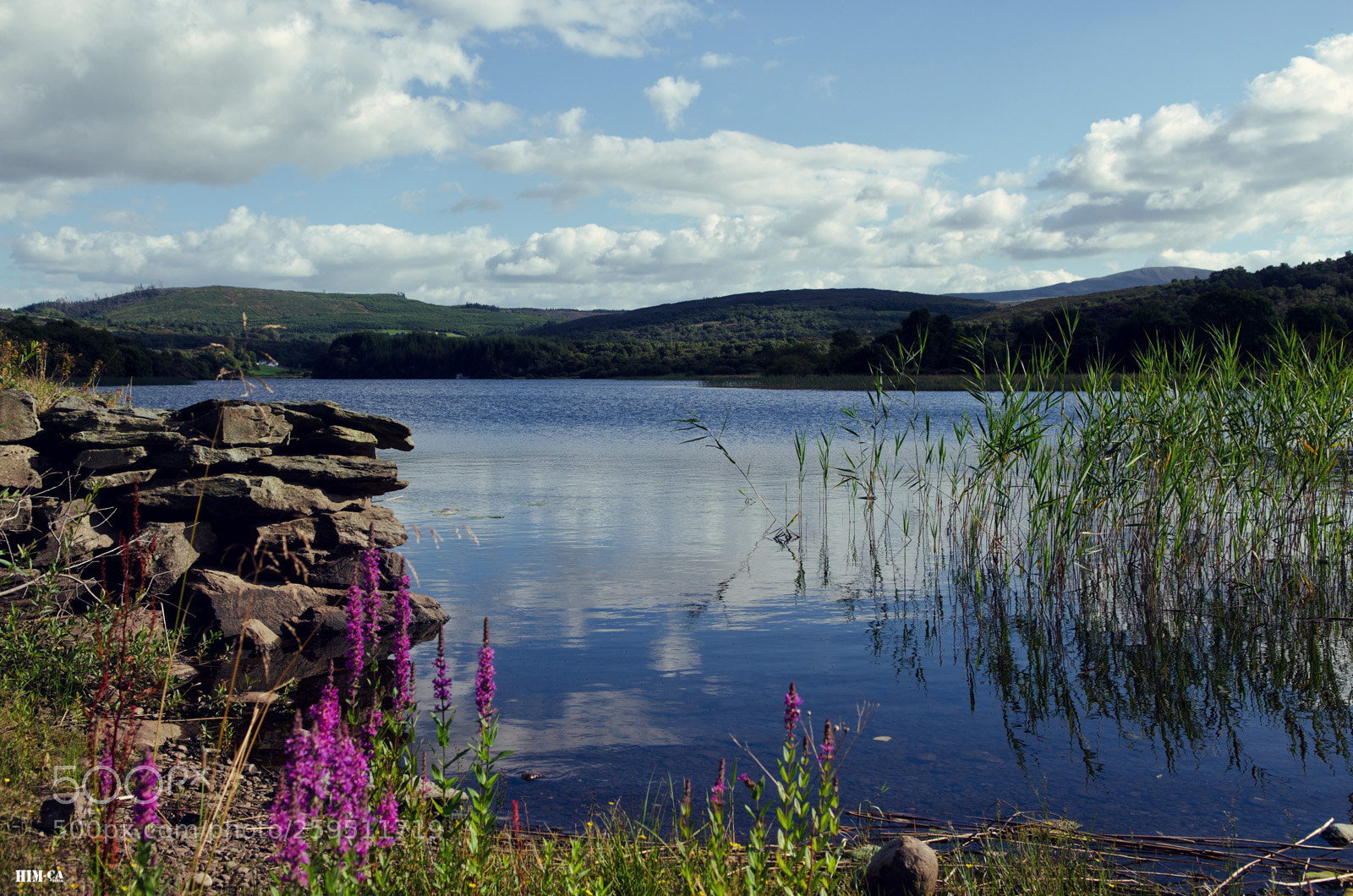 Nikon D7000 sample photo. Copie photography