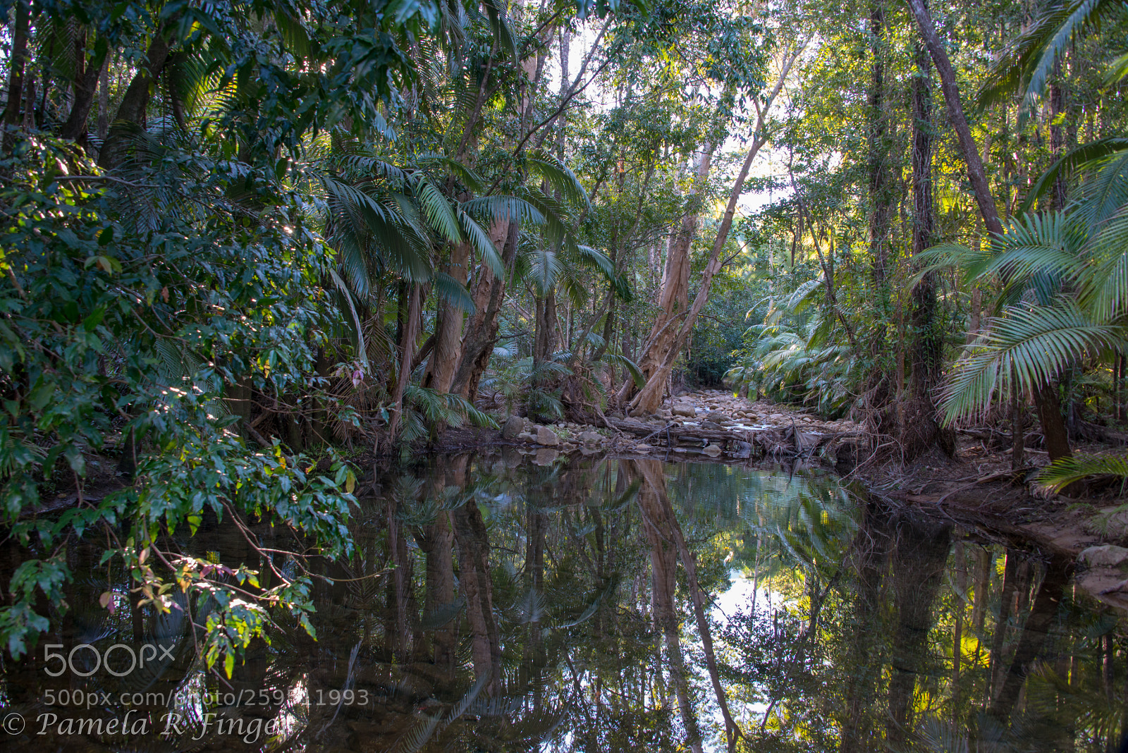Nikon D800 sample photo. Finch hatton photography