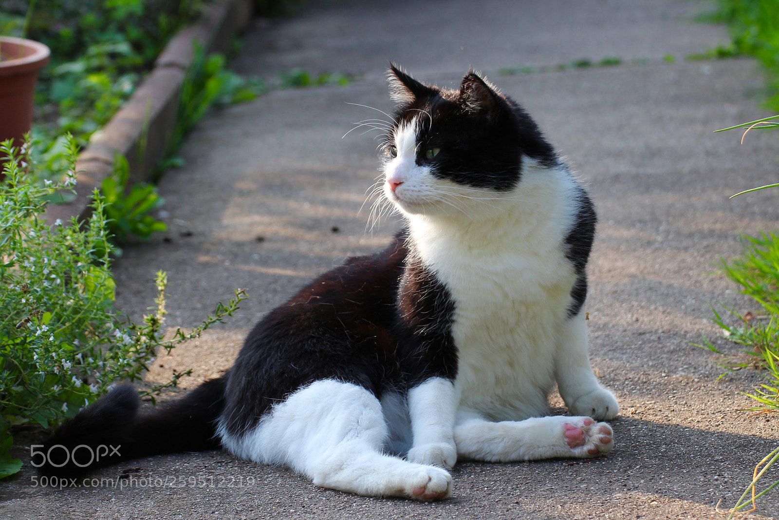 Canon EOS 700D (EOS Rebel T5i / EOS Kiss X7i) sample photo. Selfie takes a break photography