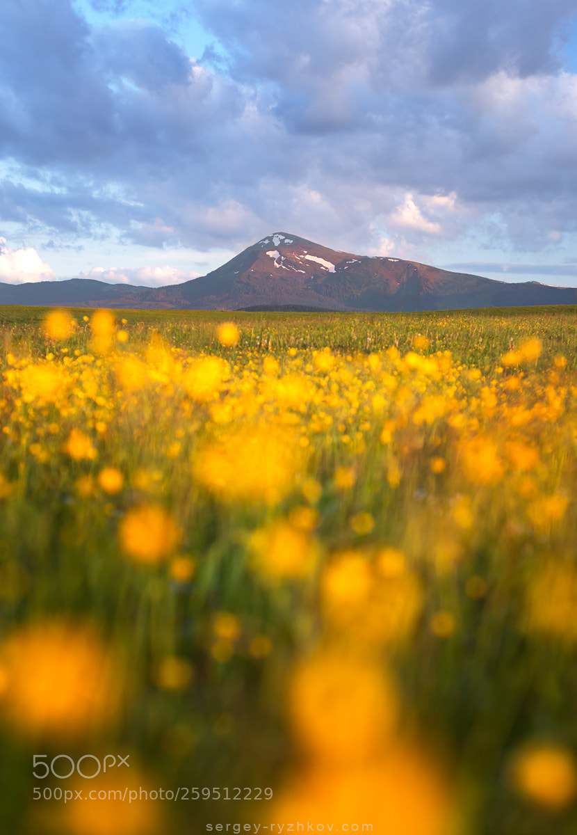 Nikon D800 sample photo. Petros mountain photography