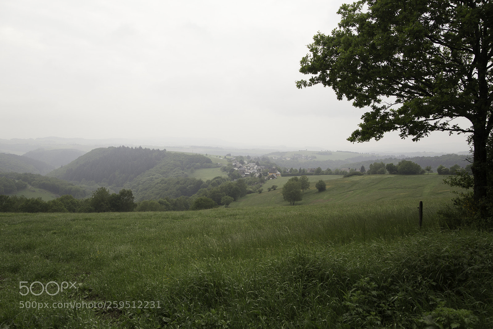 Canon EOS 6D sample photo. Misty hills of germany photography