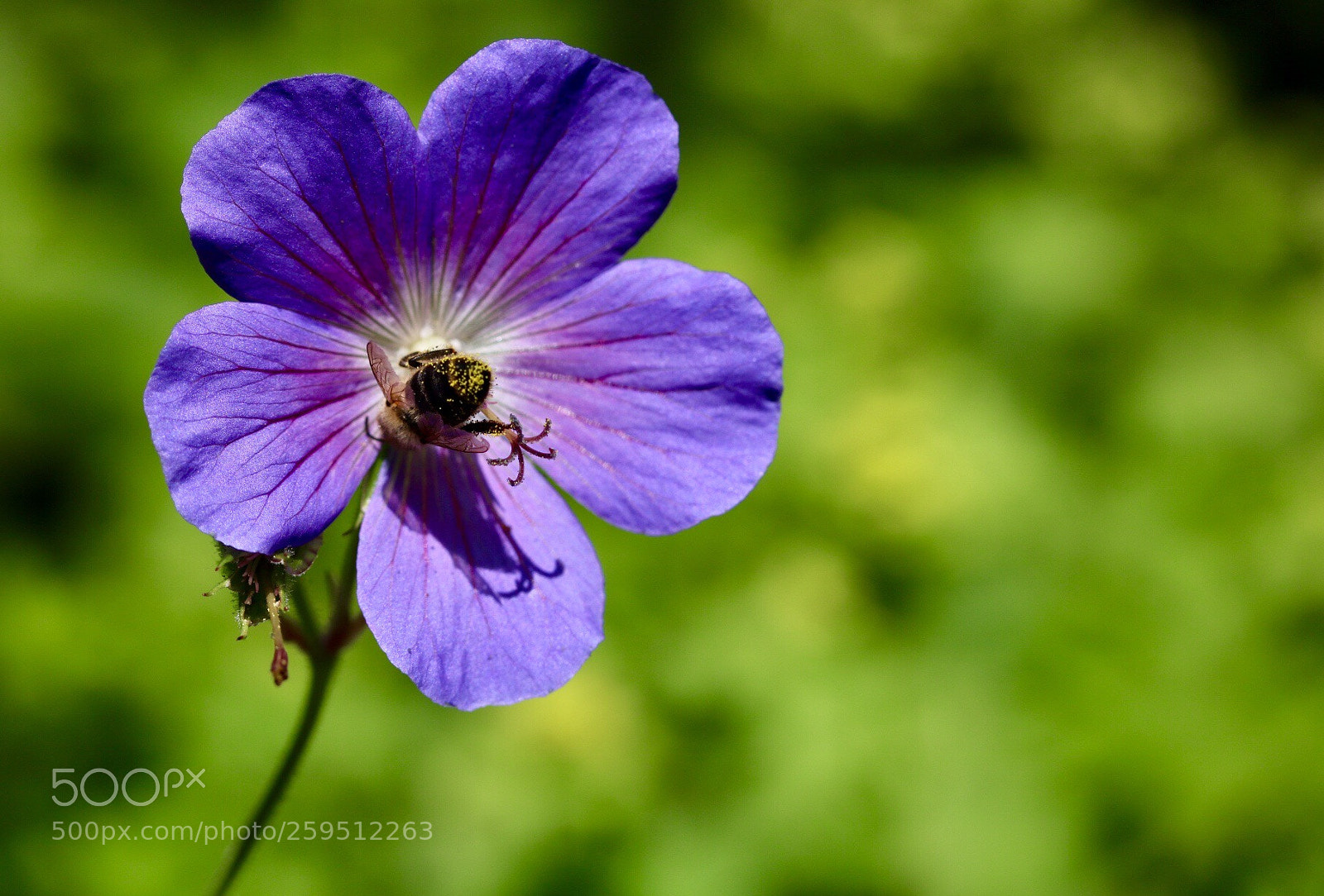 Canon EOS 760D (EOS Rebel T6s / EOS 8000D) sample photo. Kopfüber photography