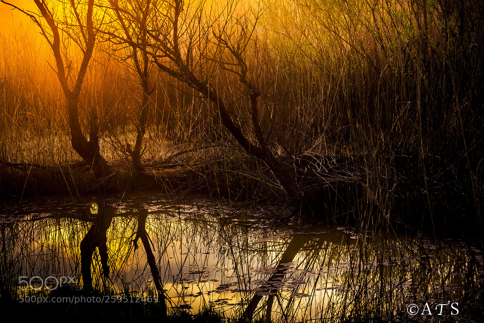 Canon EOS 5D Mark II sample photo. Sunrise photography