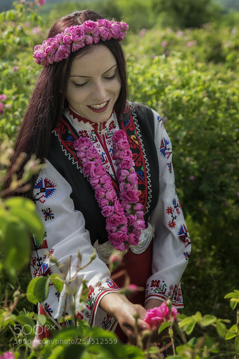 Nikon D5300 sample photo. Rose picking photography