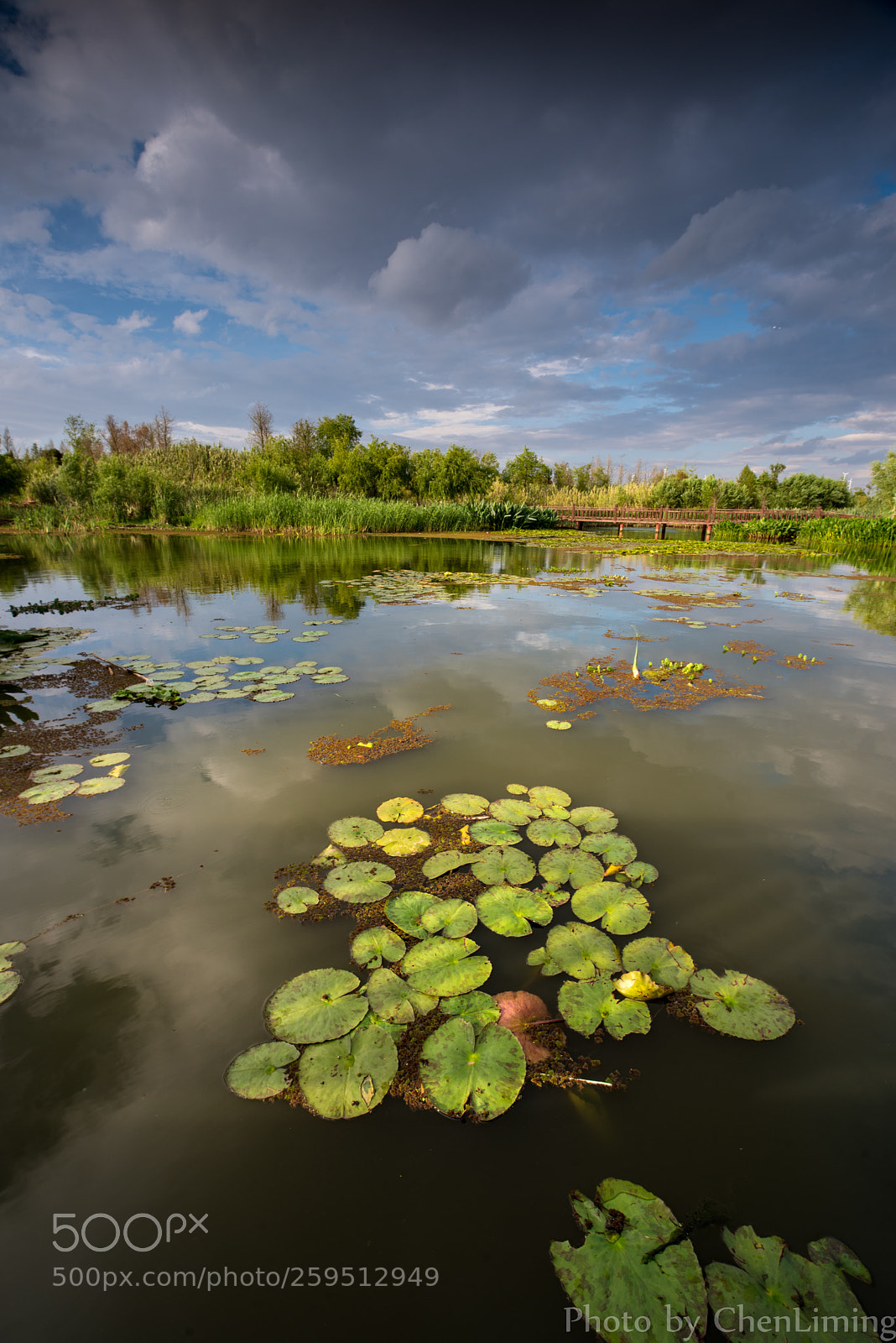 Nikon D750 sample photo. Lakeside photography
