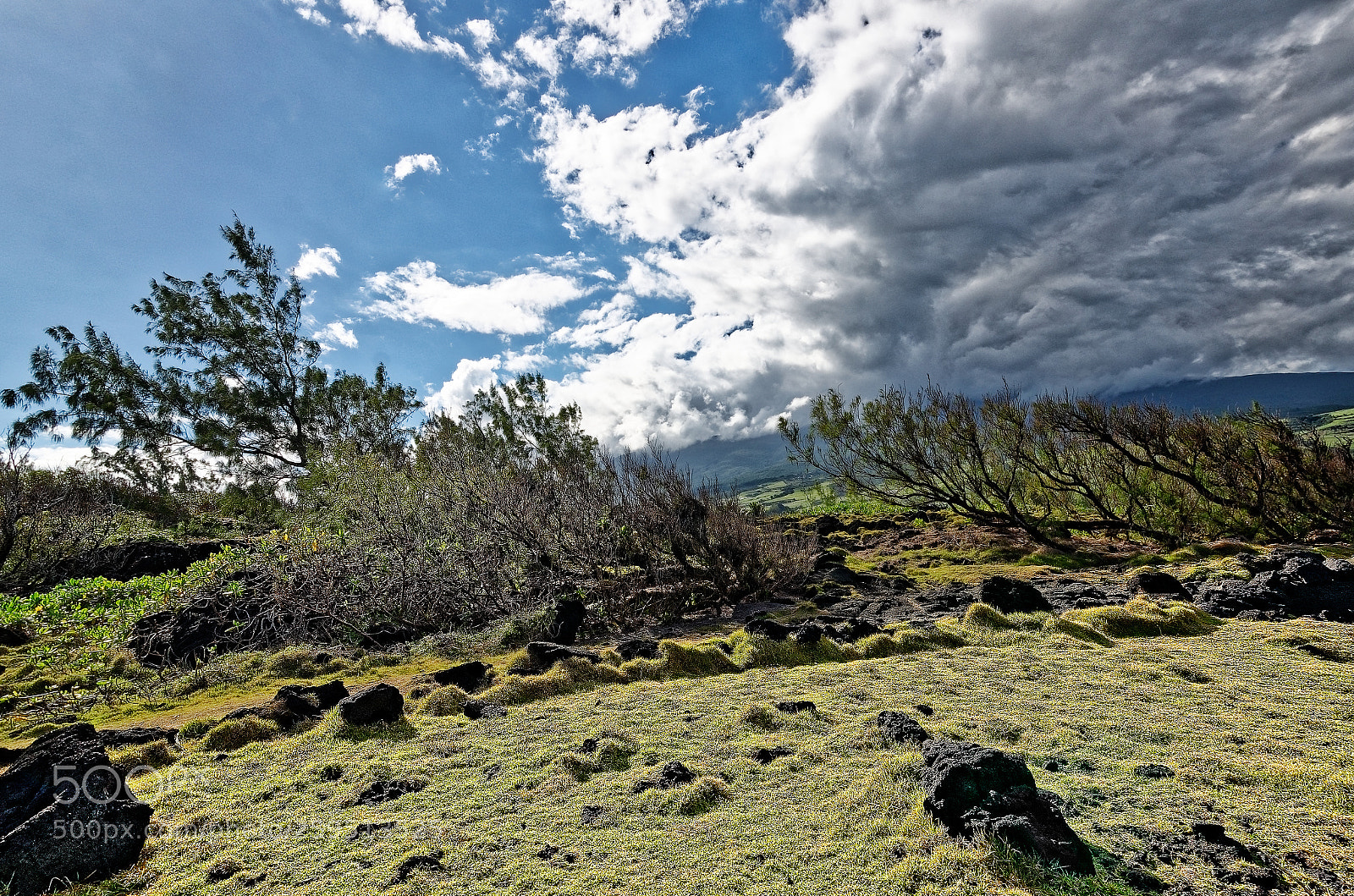 Nikon D7000 sample photo. Le sud sauvage photography