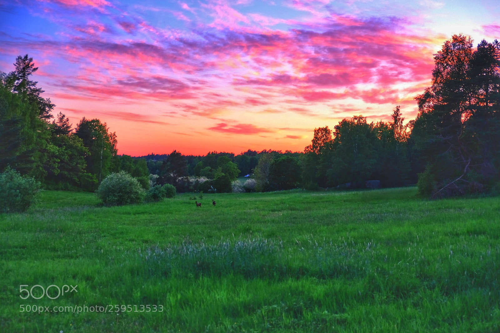 Fujifilm X-T2 sample photo. Sunset over the fields photography