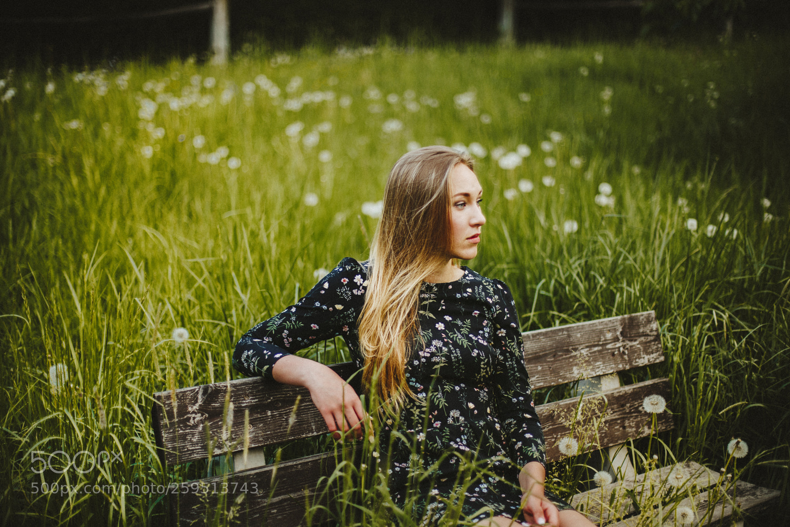 Canon EOS 6D sample photo. Klárka photography