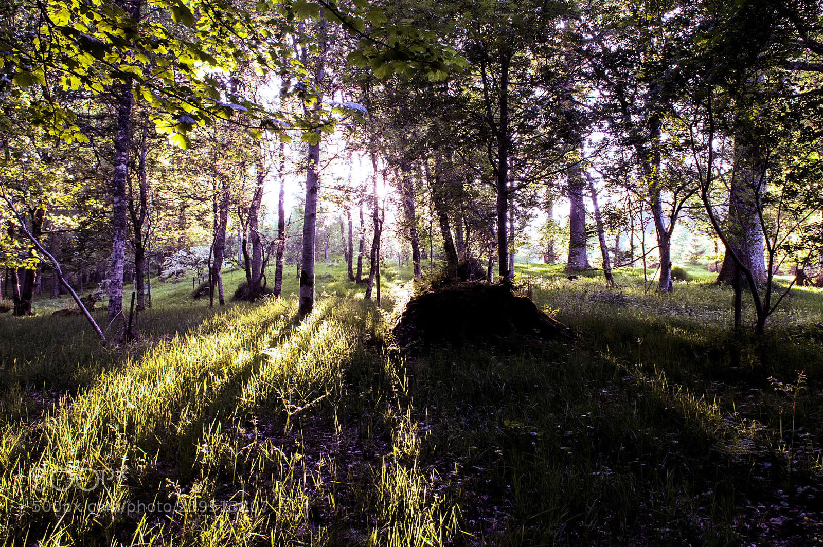Nikon D3200 sample photo. Lightstream photography