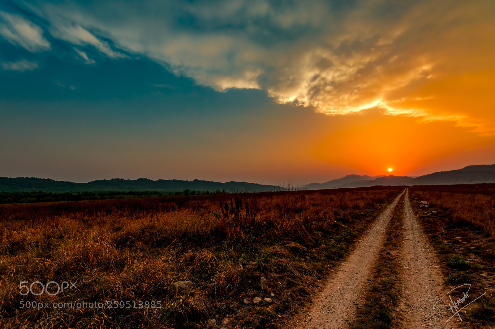 Canon EOS 7D Mark II sample photo. Goldenlight photography