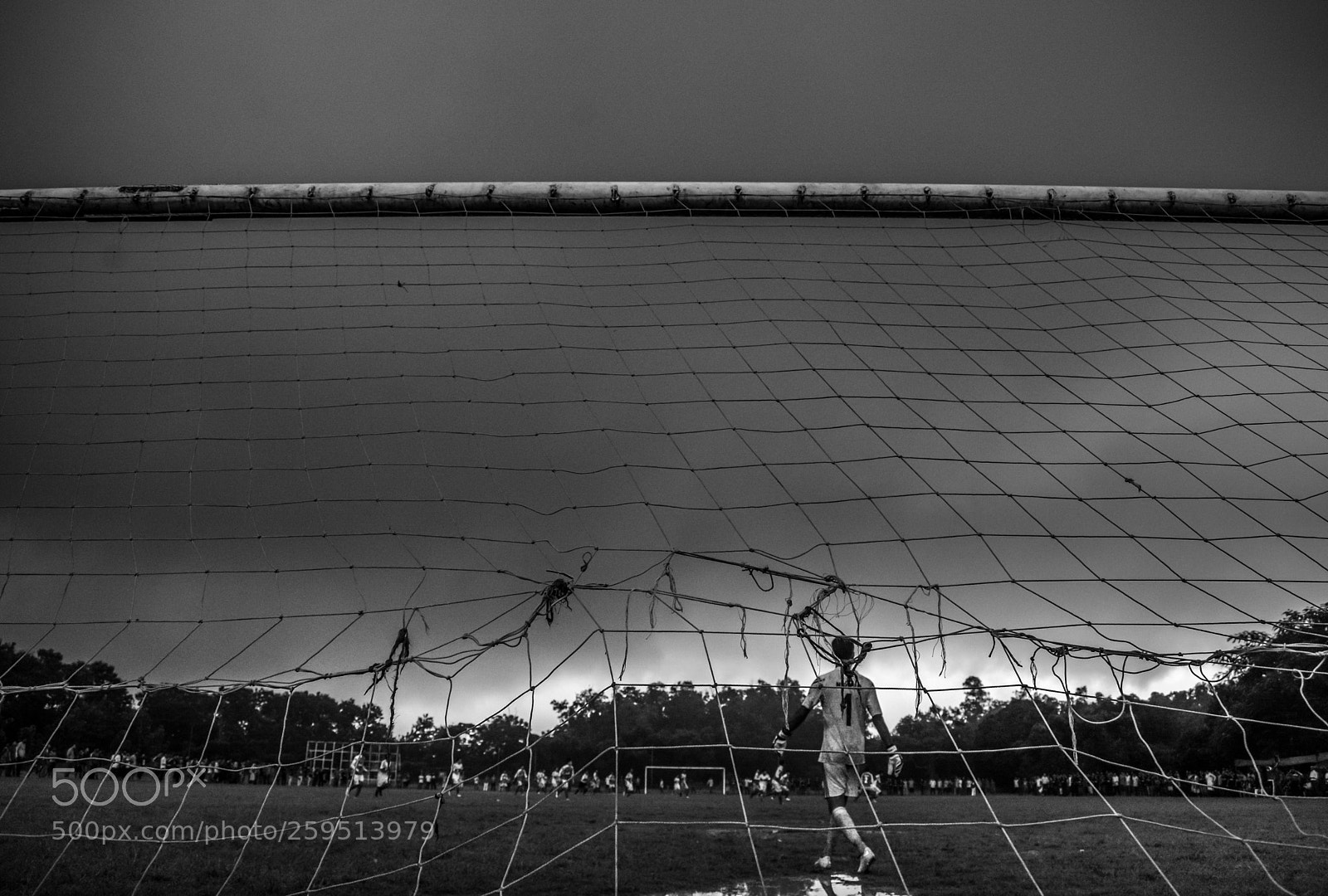 Nikon D7100 sample photo. || evening game || photography