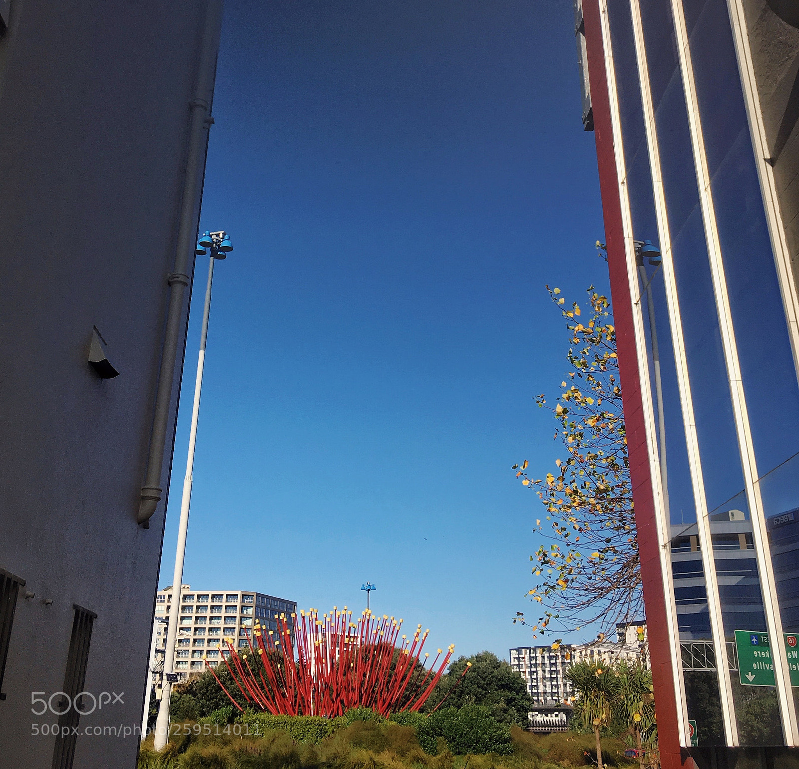 Apple iPhone SE sample photo. Street view of auckland photography