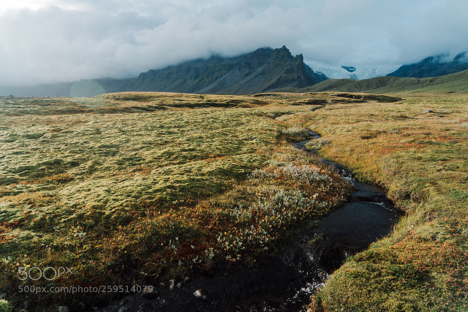 Sony a7R II sample photo. After the rain in photography