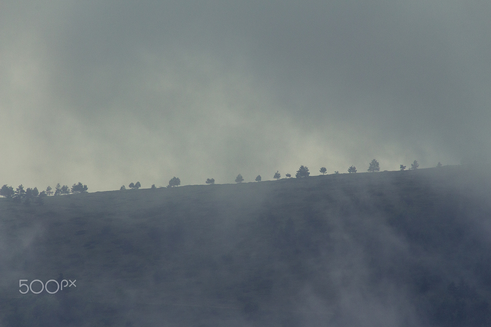 Canon EOS 650D (EOS Rebel T4i / EOS Kiss X6i) sample photo. Fog photography