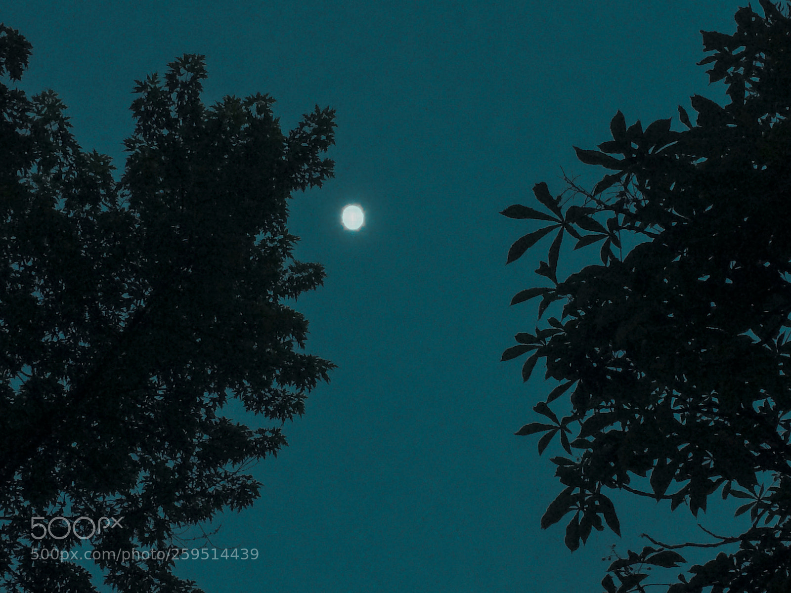 Apple iPhone 5s sample photo. Coloured night photography