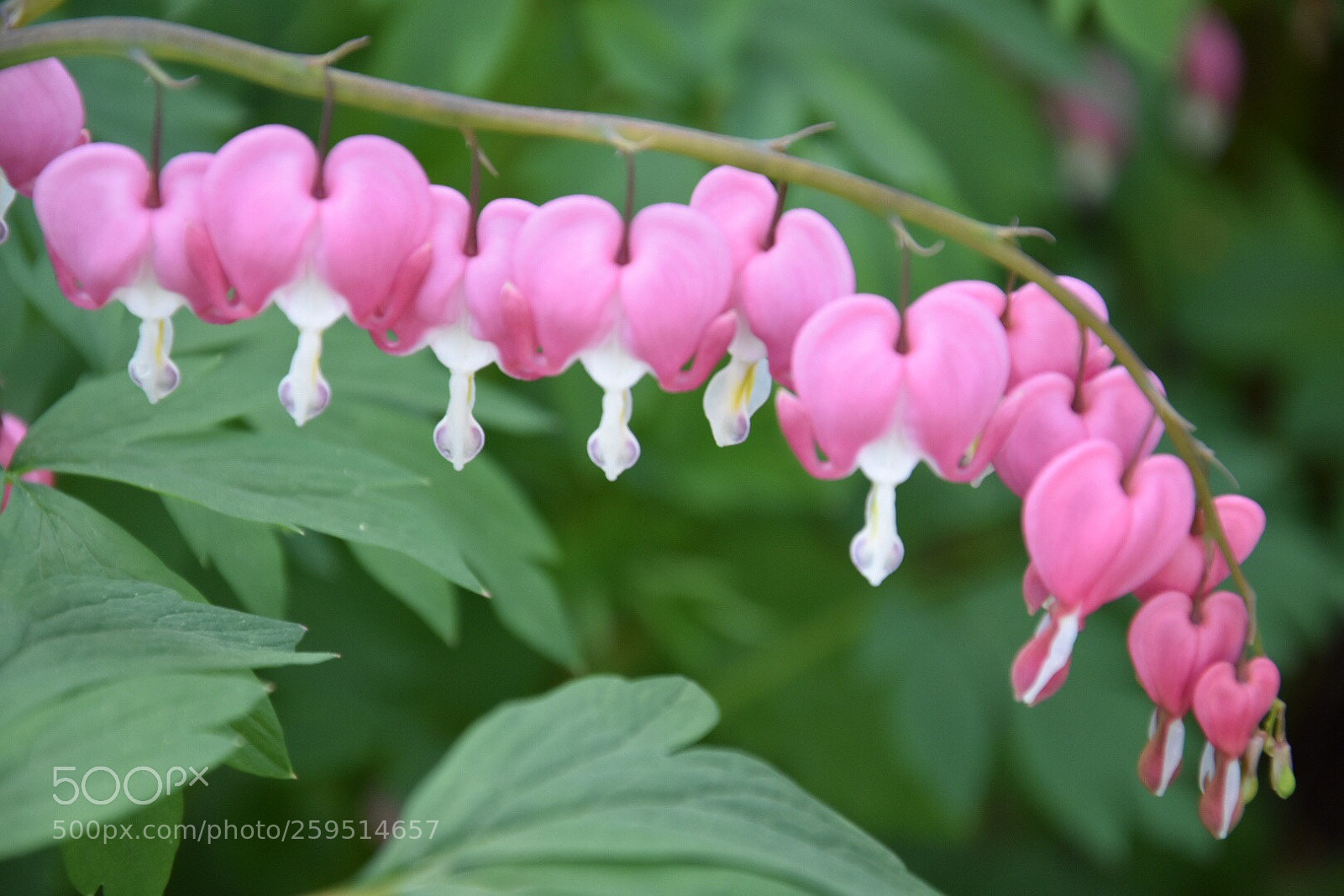 Nikon D3400 sample photo. Untitled photography