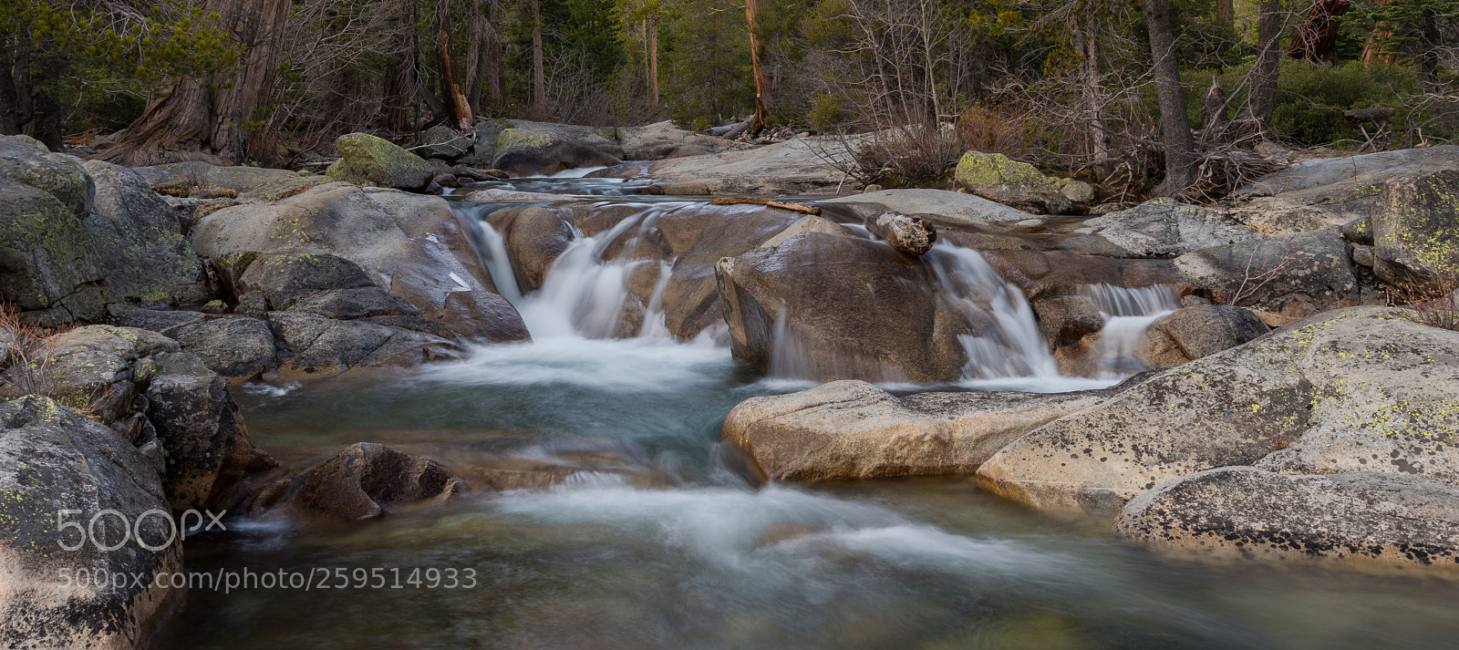 Nikon D800 sample photo. Untitled photography