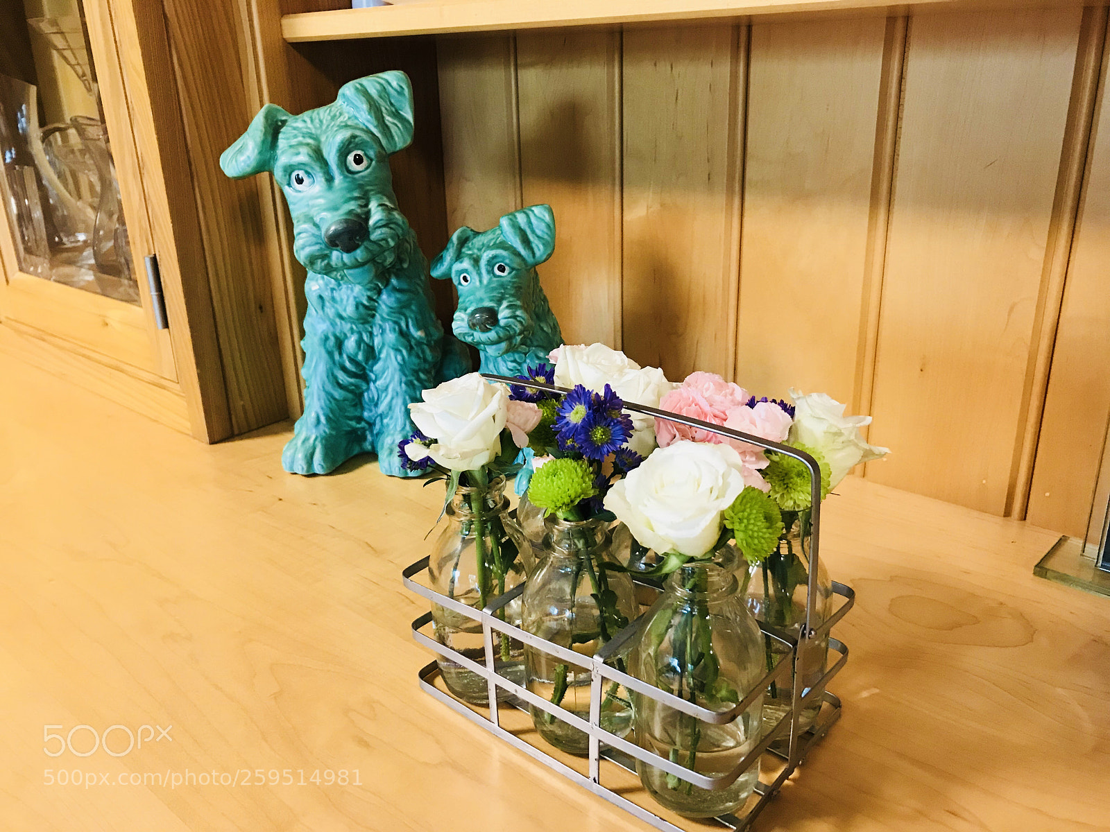 Apple iPhone 7 sample photo. Dogs and roses photography