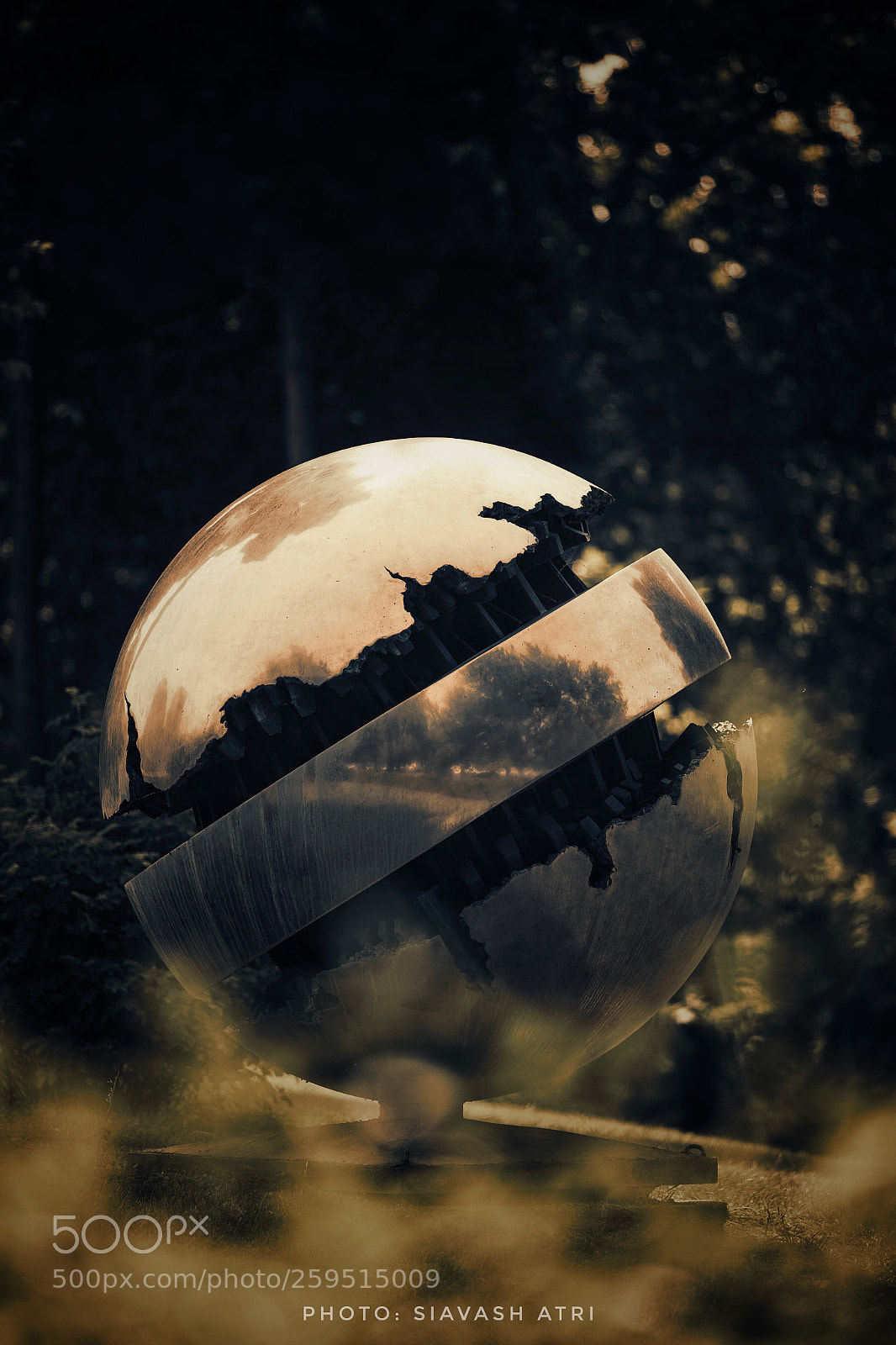 Canon EOS-1D X sample photo. Untitled photography