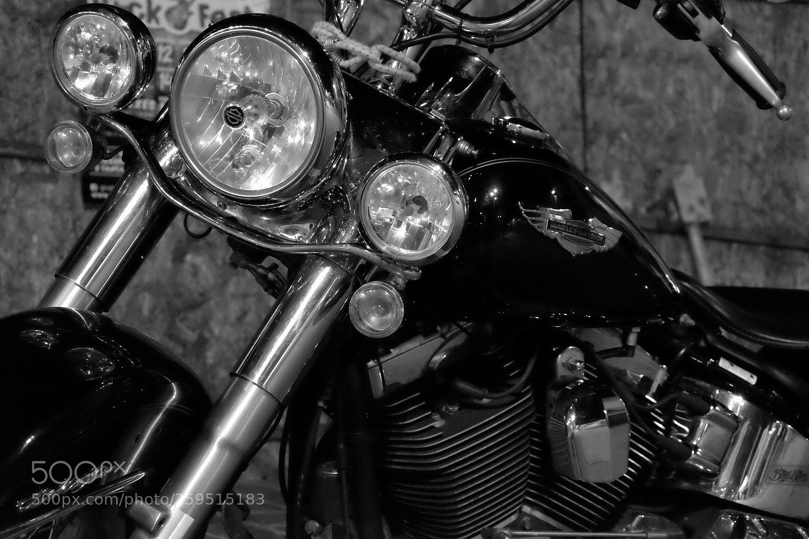 Fujifilm X-T10 sample photo. Passion photography