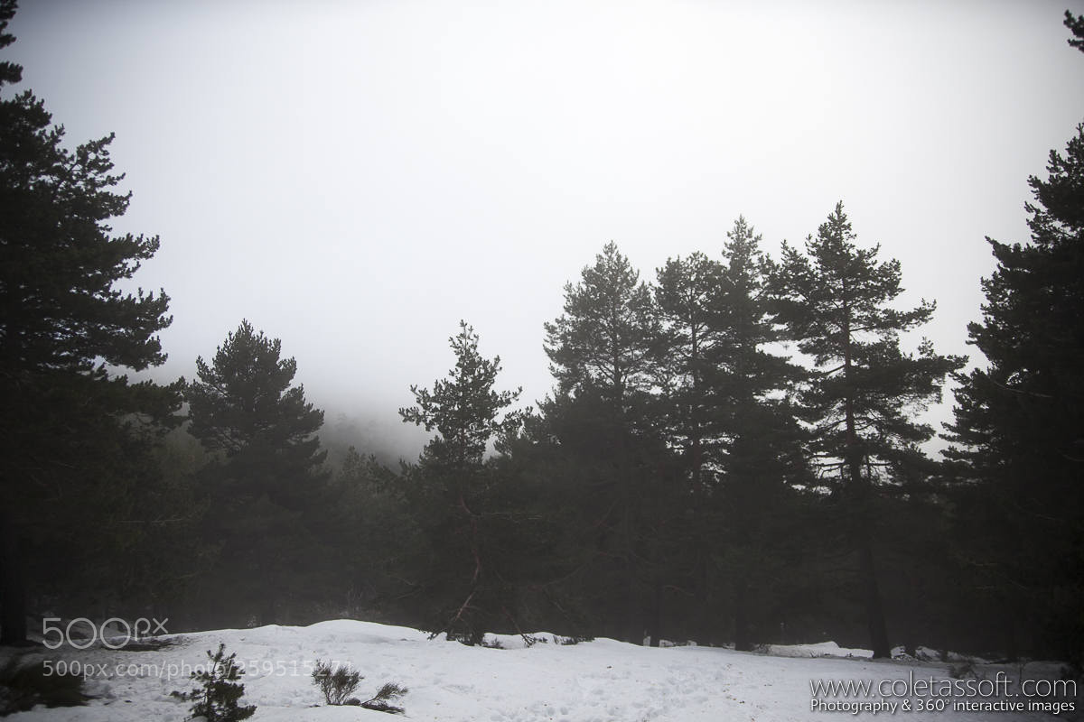 Canon EOS 5D Mark II sample photo. Navafria 01 photography