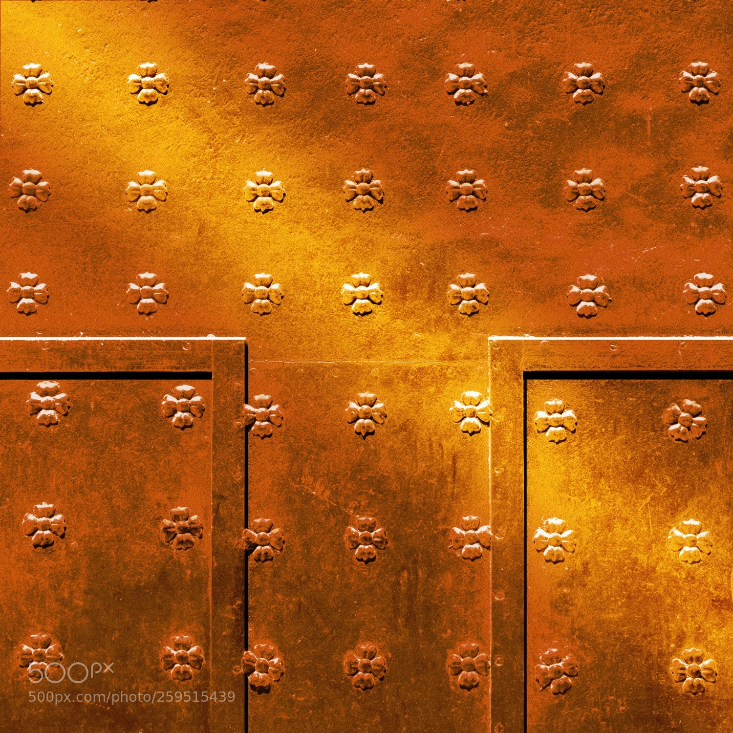 Nikon D5300 sample photo. Door flowers photography