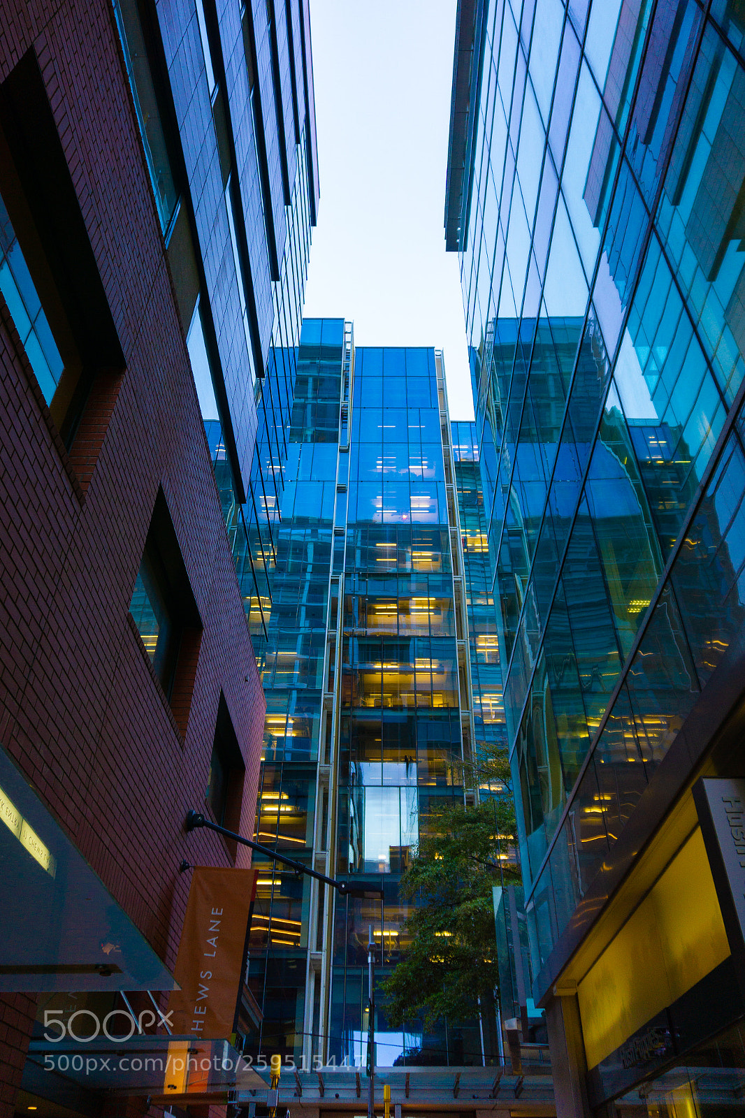 Sony a6000 sample photo. Chews lane photography