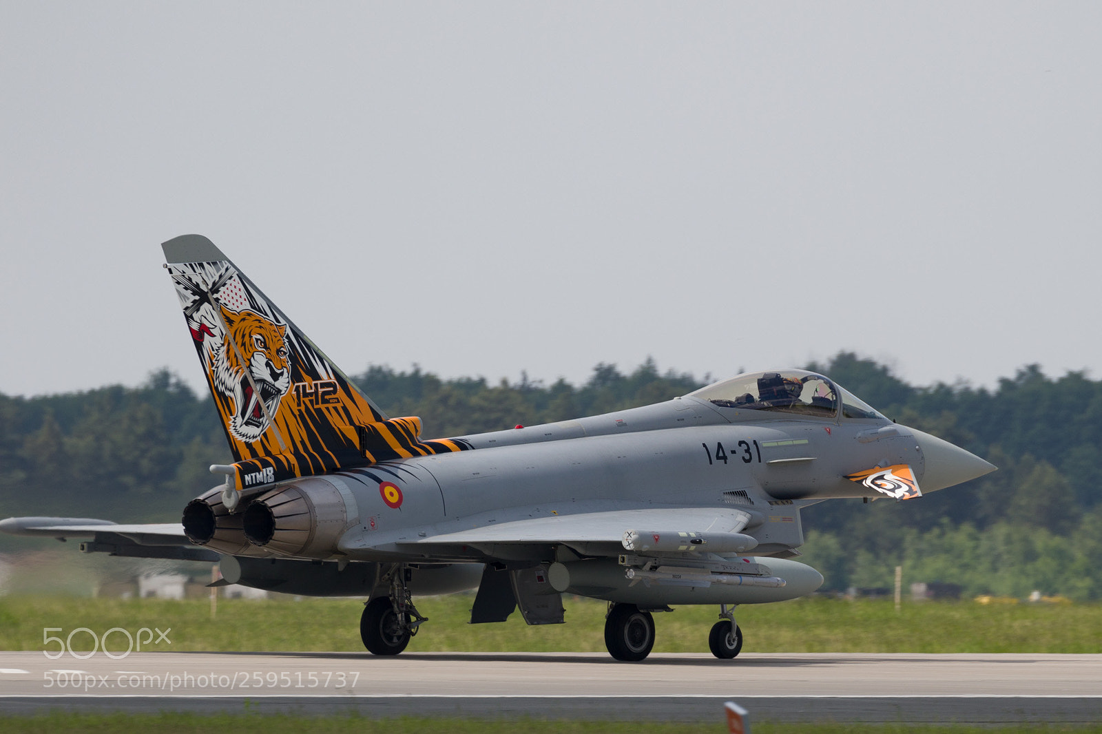 Canon EOS 7D Mark II sample photo. Spanish tiger ef-2000 photography