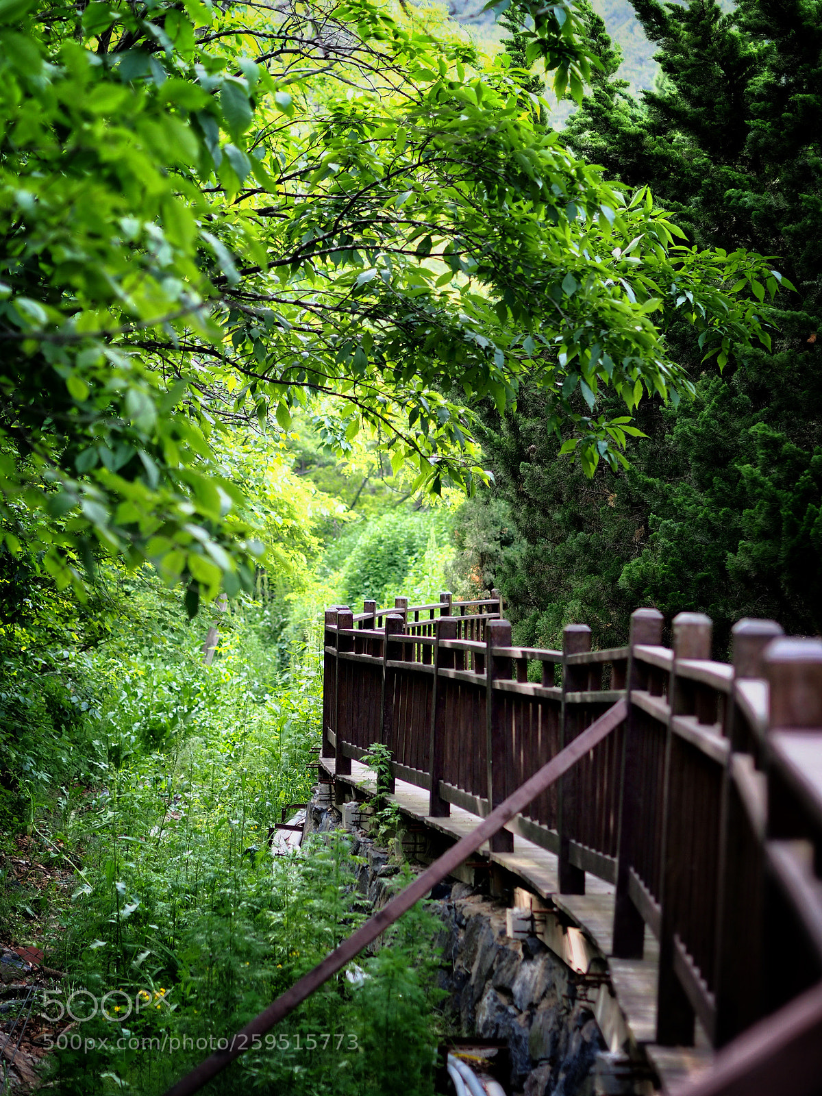 Olympus OM-D E-M5 II sample photo. Untitled photography