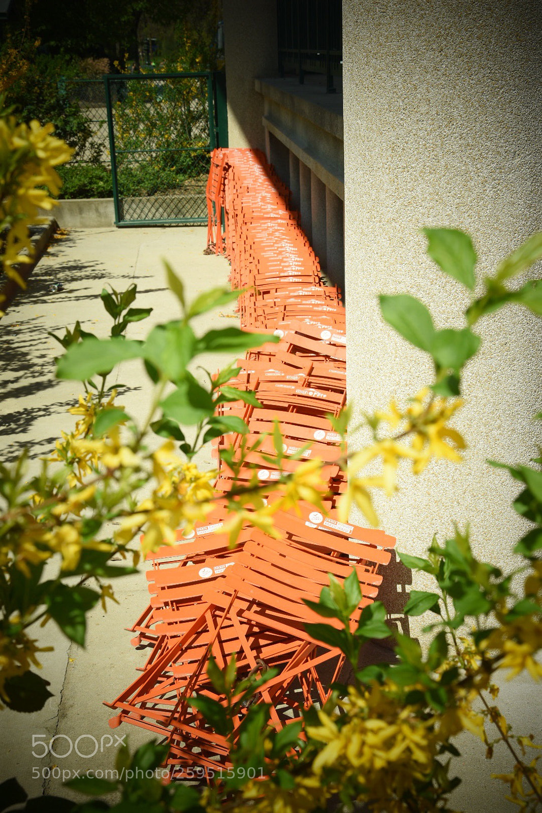Nikon D3400 sample photo. Untitled photography