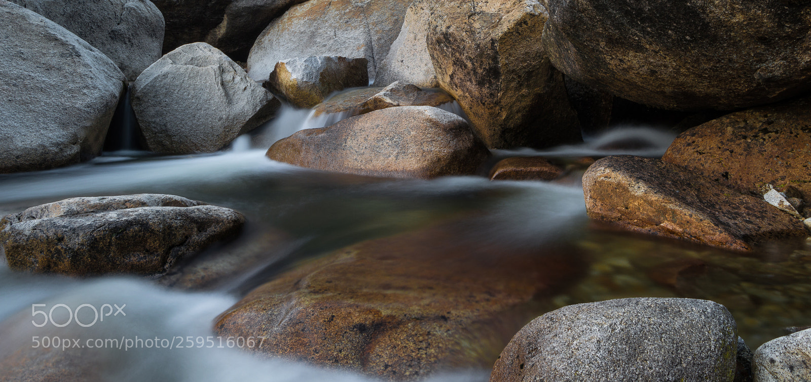 Nikon D3200 sample photo. "smooth moves" photography