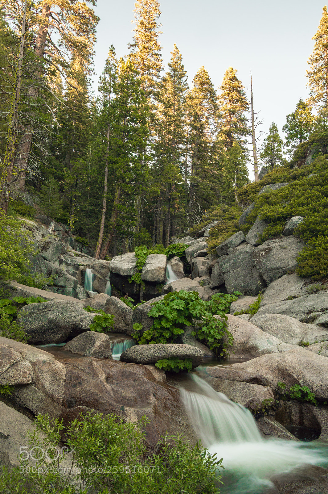 Nikon D3200 sample photo. Untitled photography