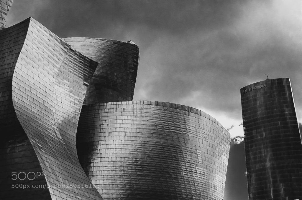 Nikon D90 sample photo. Bilbao guggenheim b&w photography