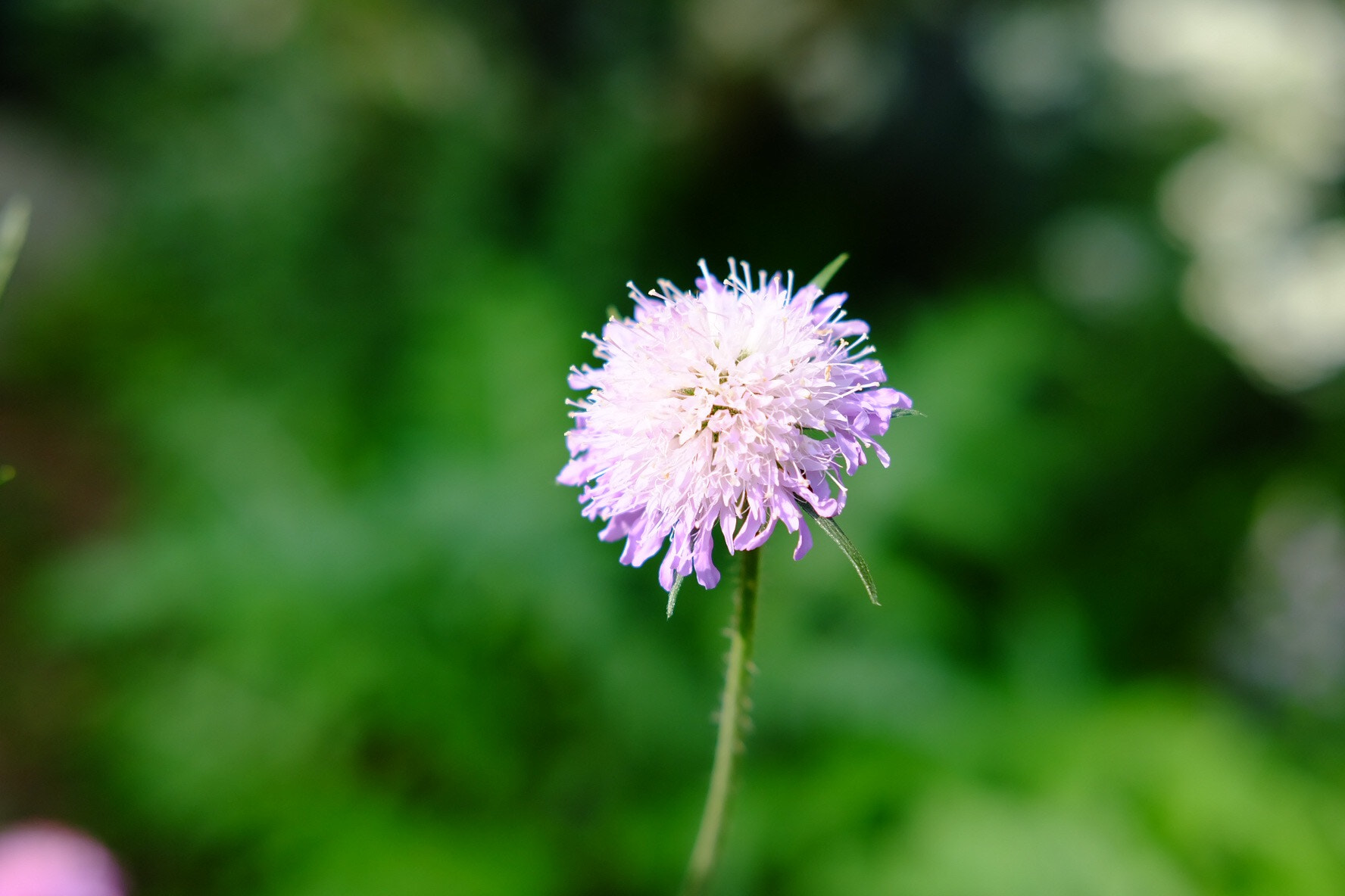 Fujifilm X-A1 sample photo