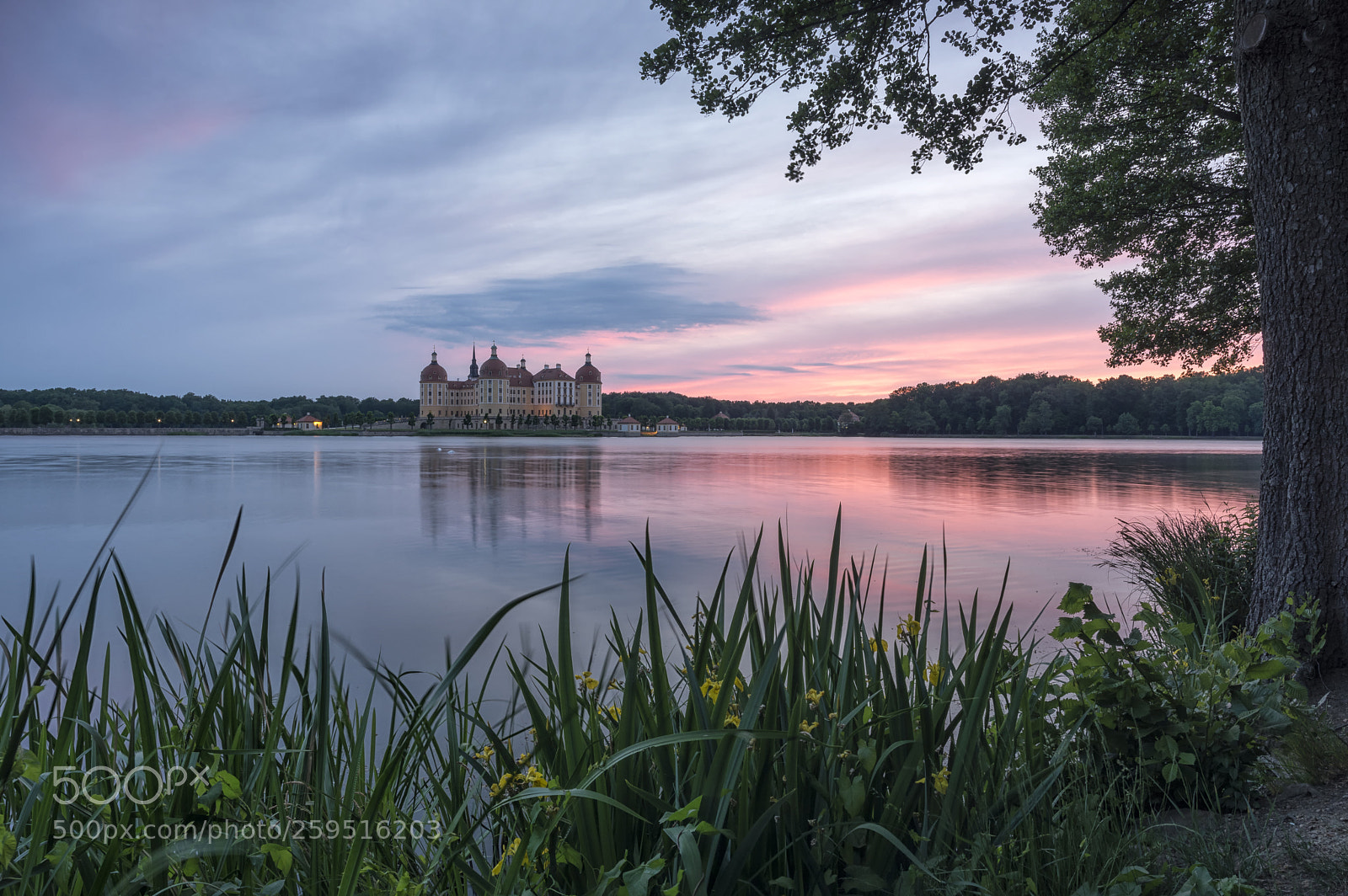 Pentax K-3 II sample photo. Castle moritzburg photography